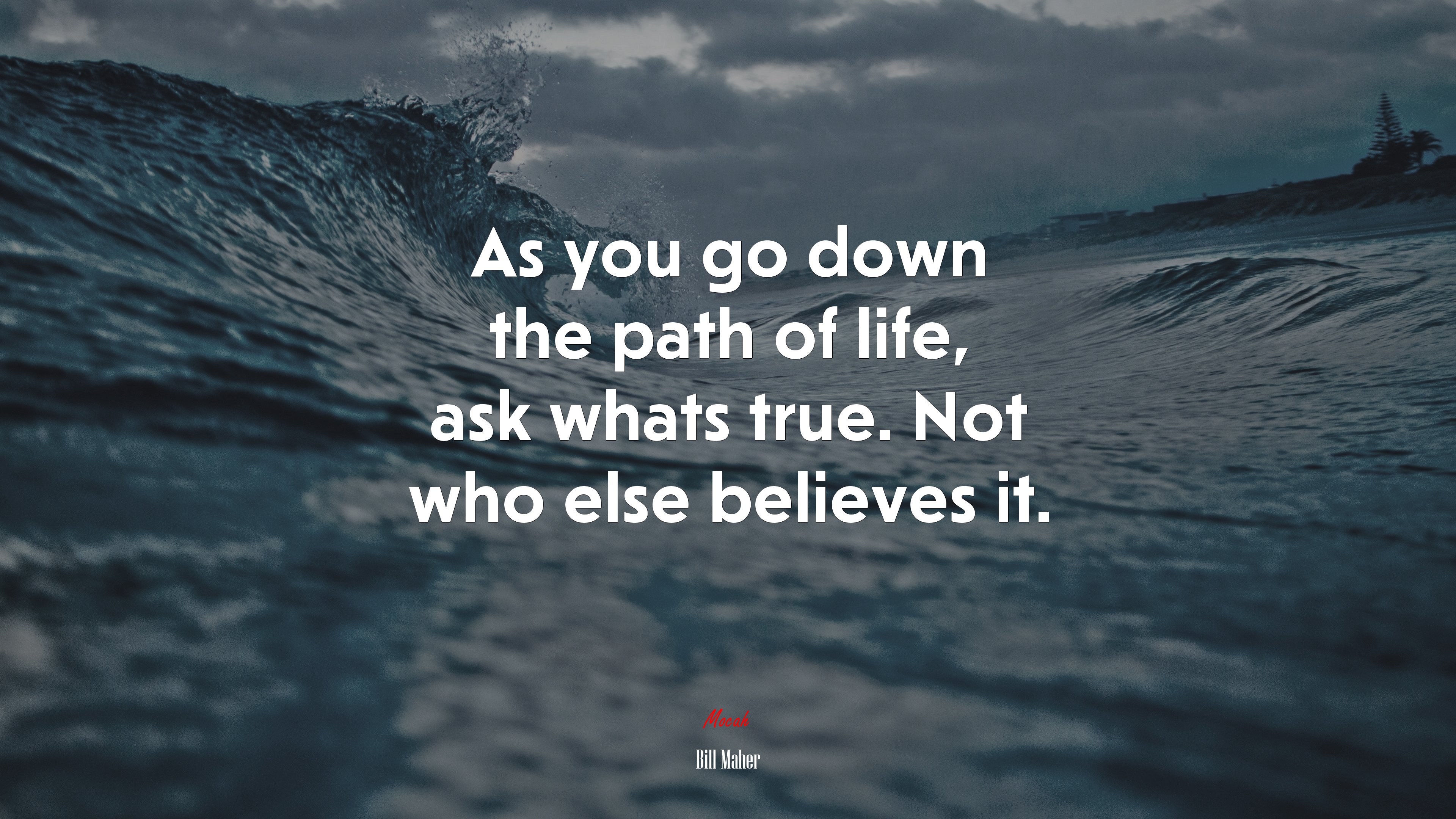 As you go down the path of life, ask whats true. Not who else believes it. | Bill Maher quote HD Wallpaper