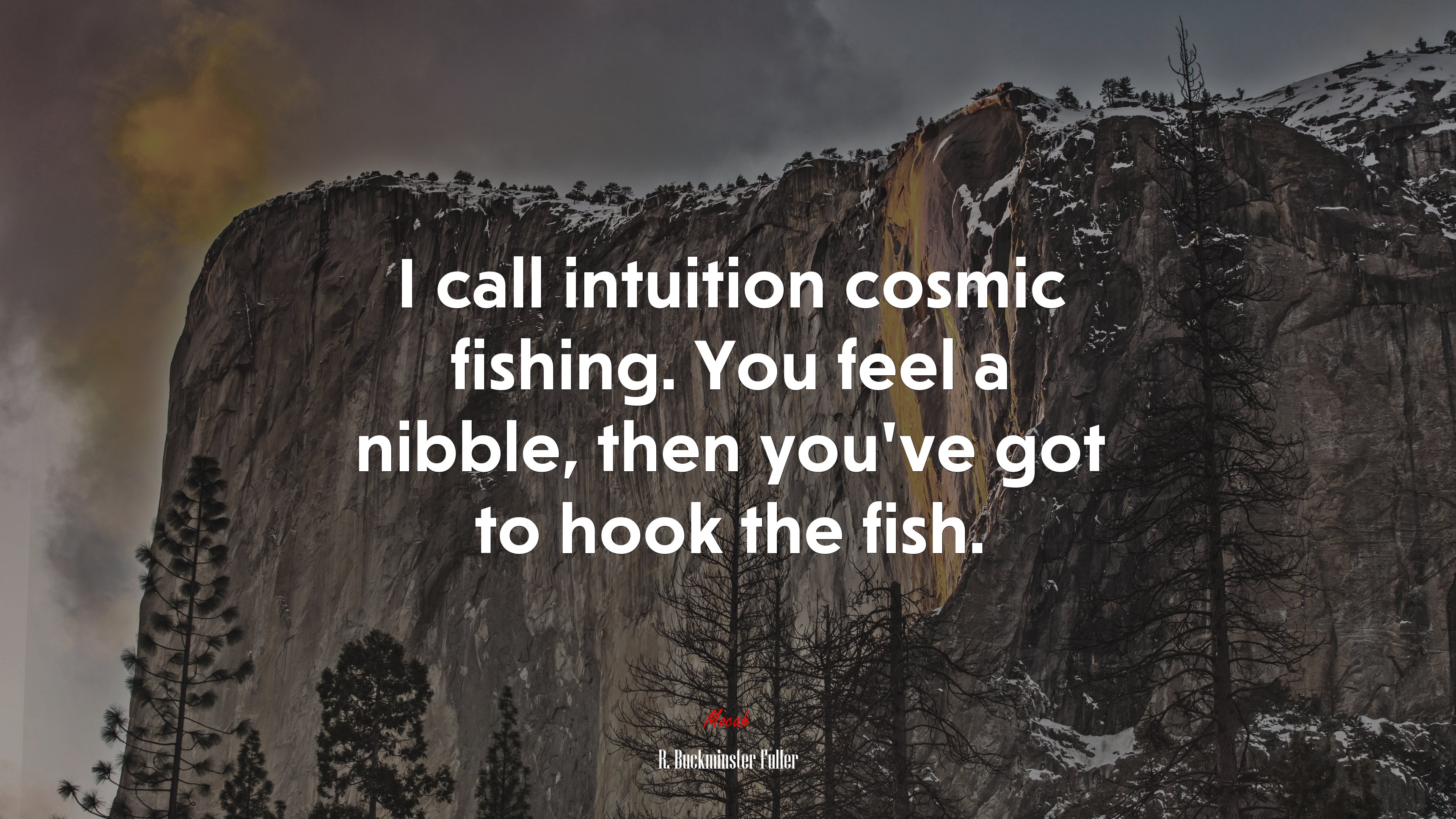 I call intuition cosmic fishing. You feel a nibble, then you’ve got to hook the fish. | R. Buckminster Fuller quote HD Wallpaper