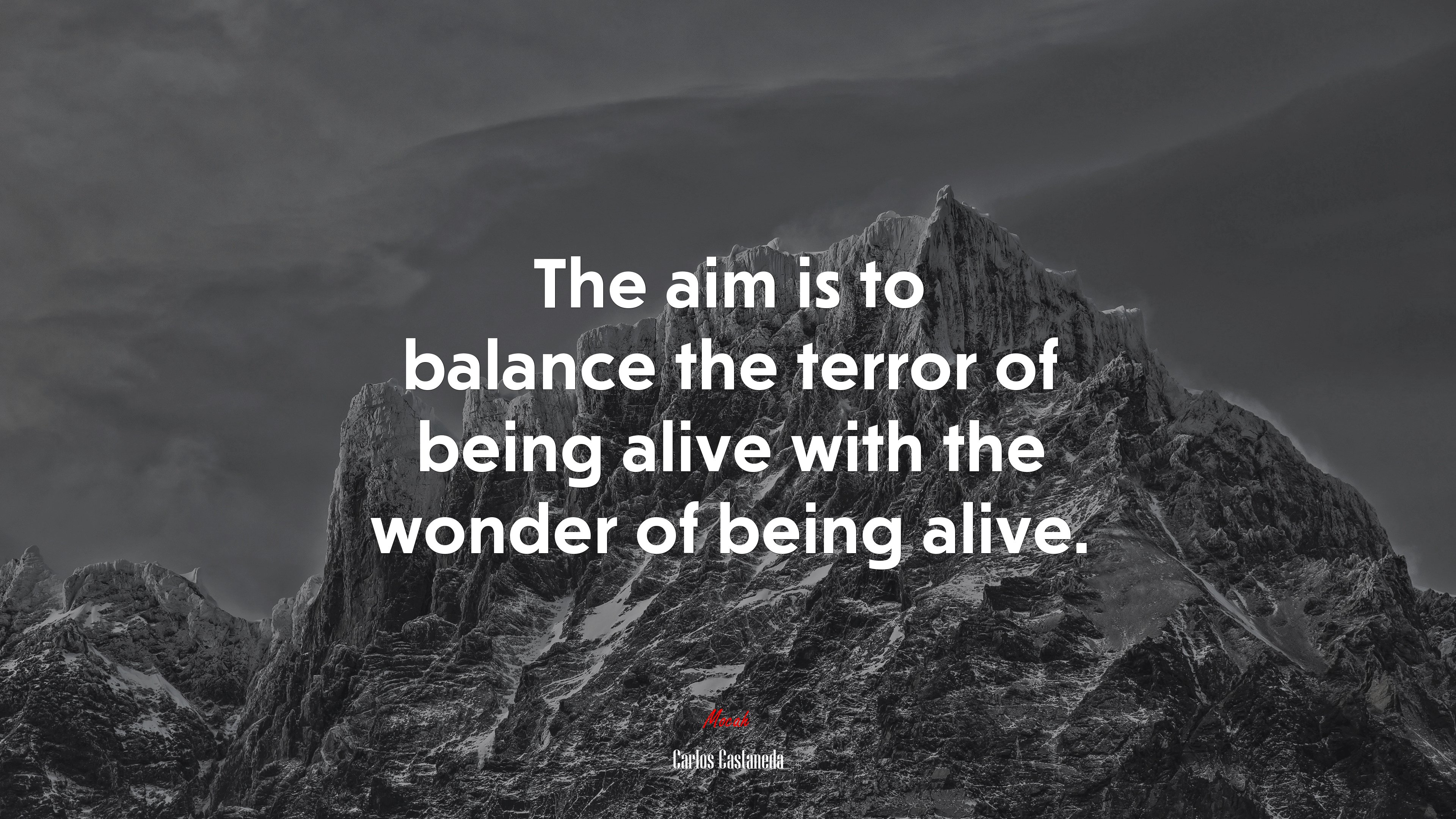 The aim is to balance the terror of being alive with the wonder of being alive. | Carlos Castaneda quote HD Wallpaper