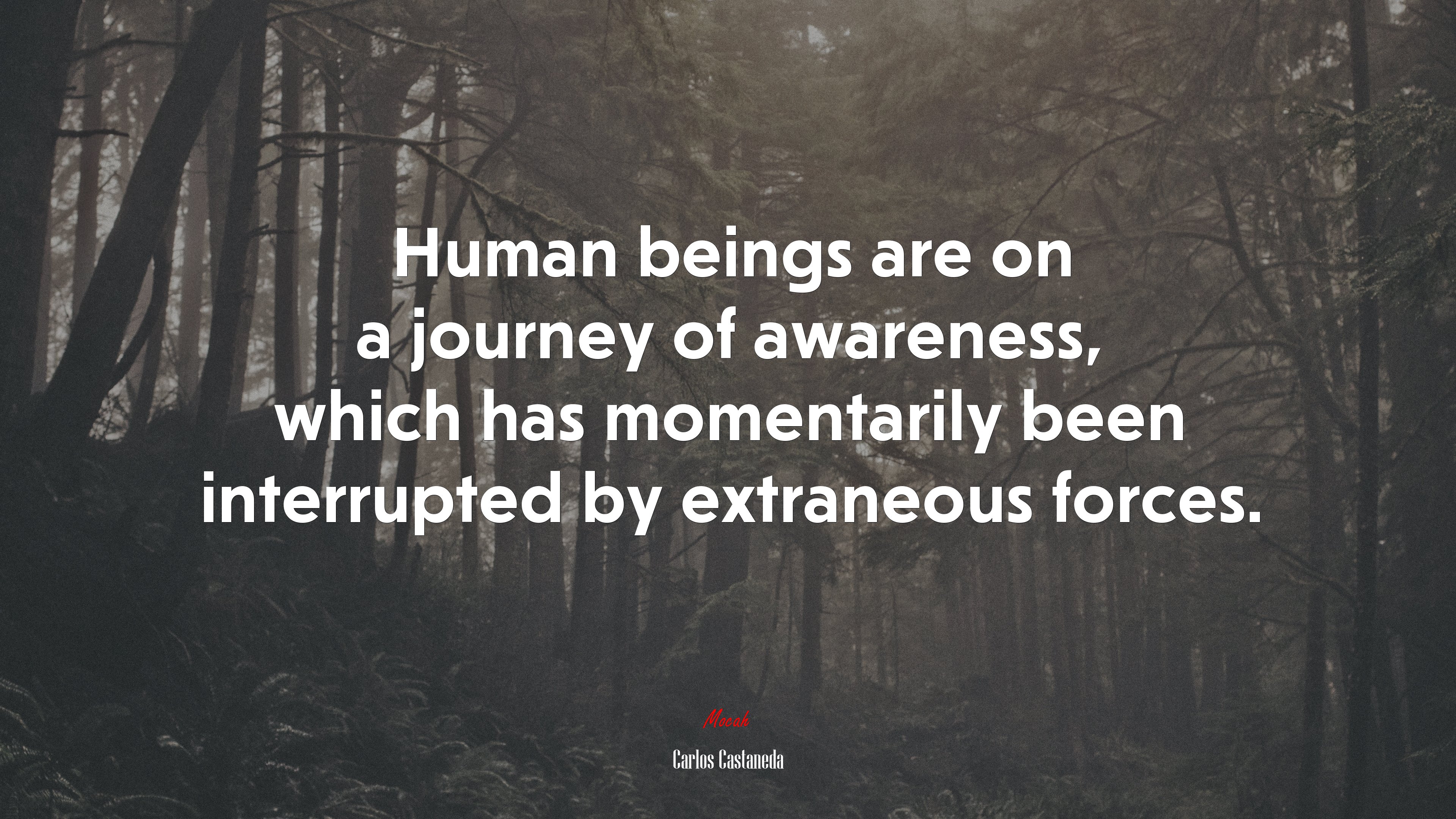Human beings are on a journey of awareness, which has momentarily been interrupted by extraneous forces. | Carlos Castaneda quote HD Wallpaper
