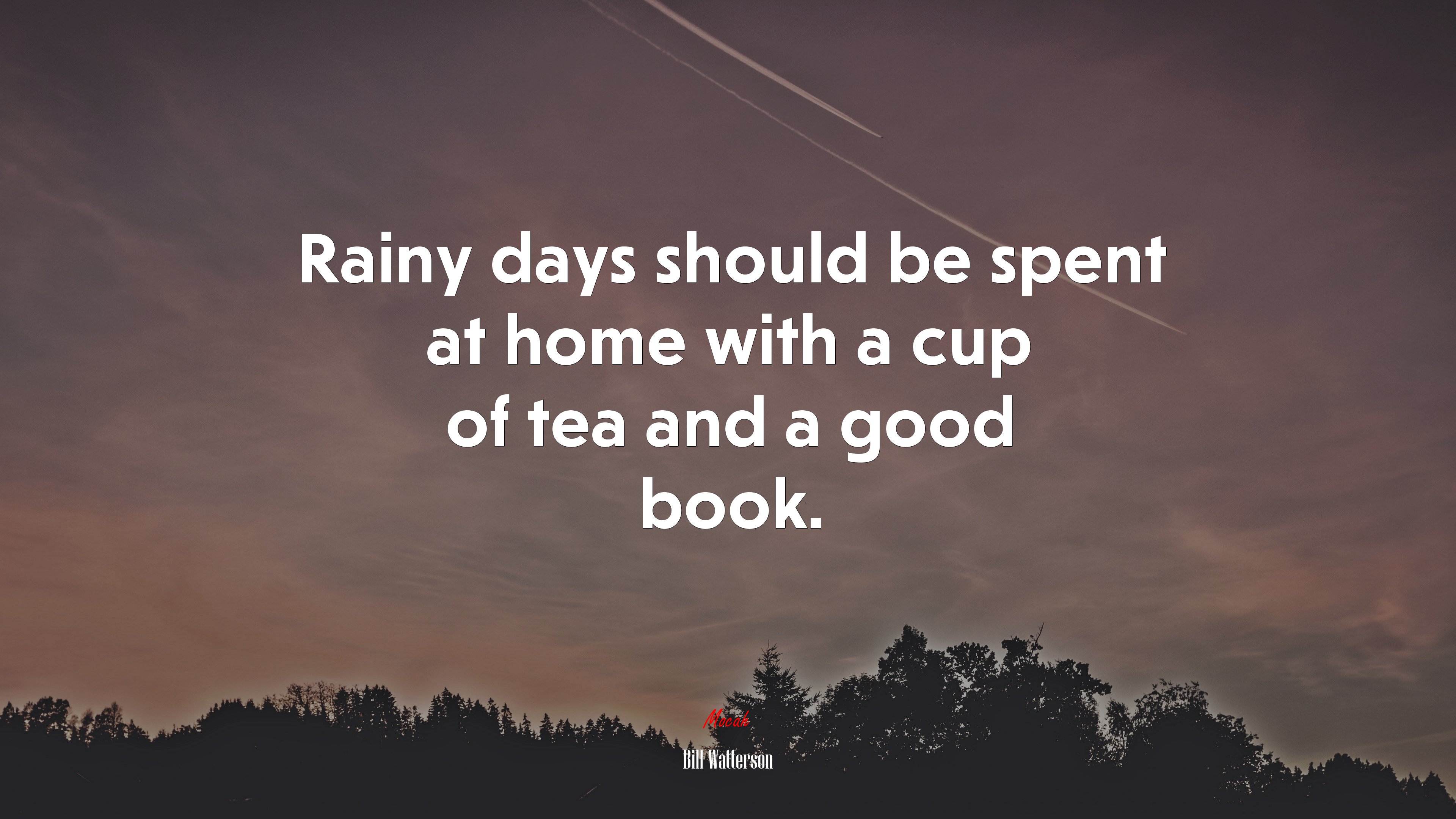 Rainy days should be spent at home with a cup of tea and a good book. | Bill Watterson quote HD Wallpaper