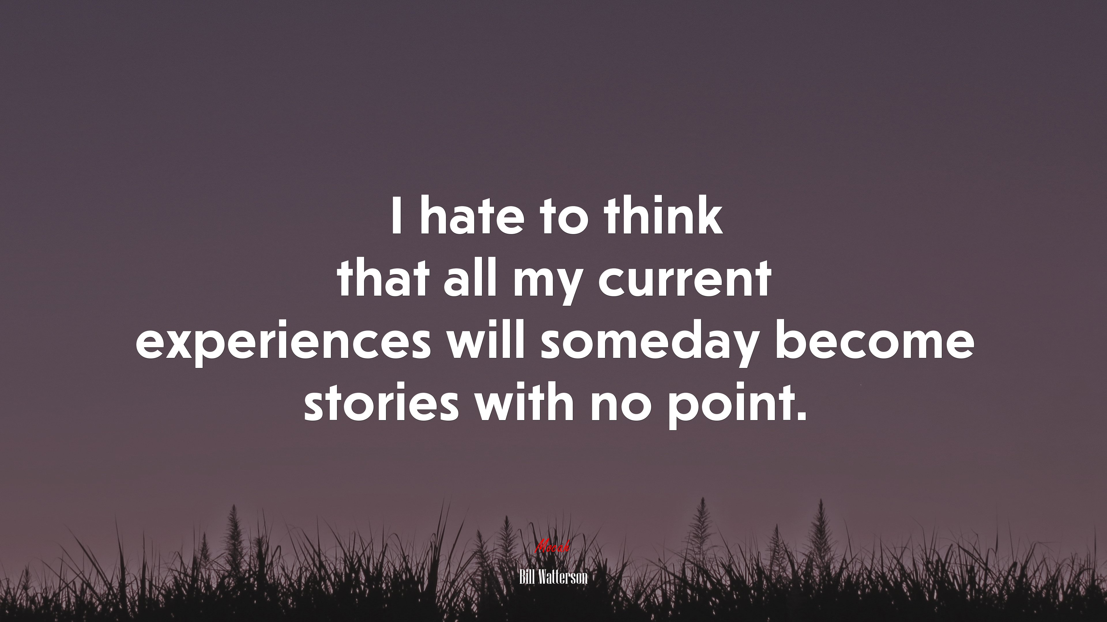 I hate to think that all my current experiences will someday become stories with no point. | Bill Watterson quote HD Wallpaper