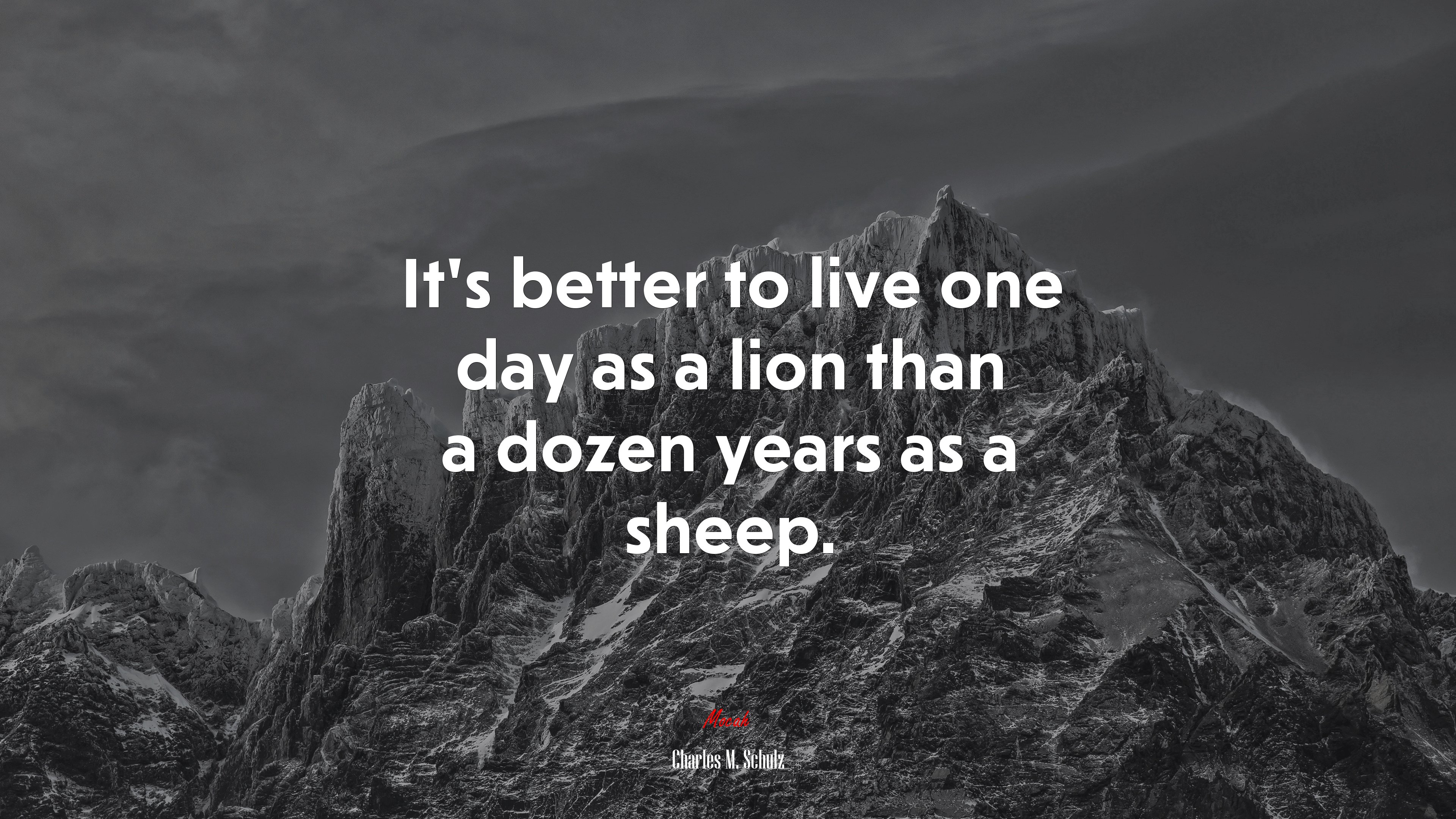 It’s better to live one day as a lion than a dozen years as a sheep. | Charles M. Schulz quote HD Wallpaper