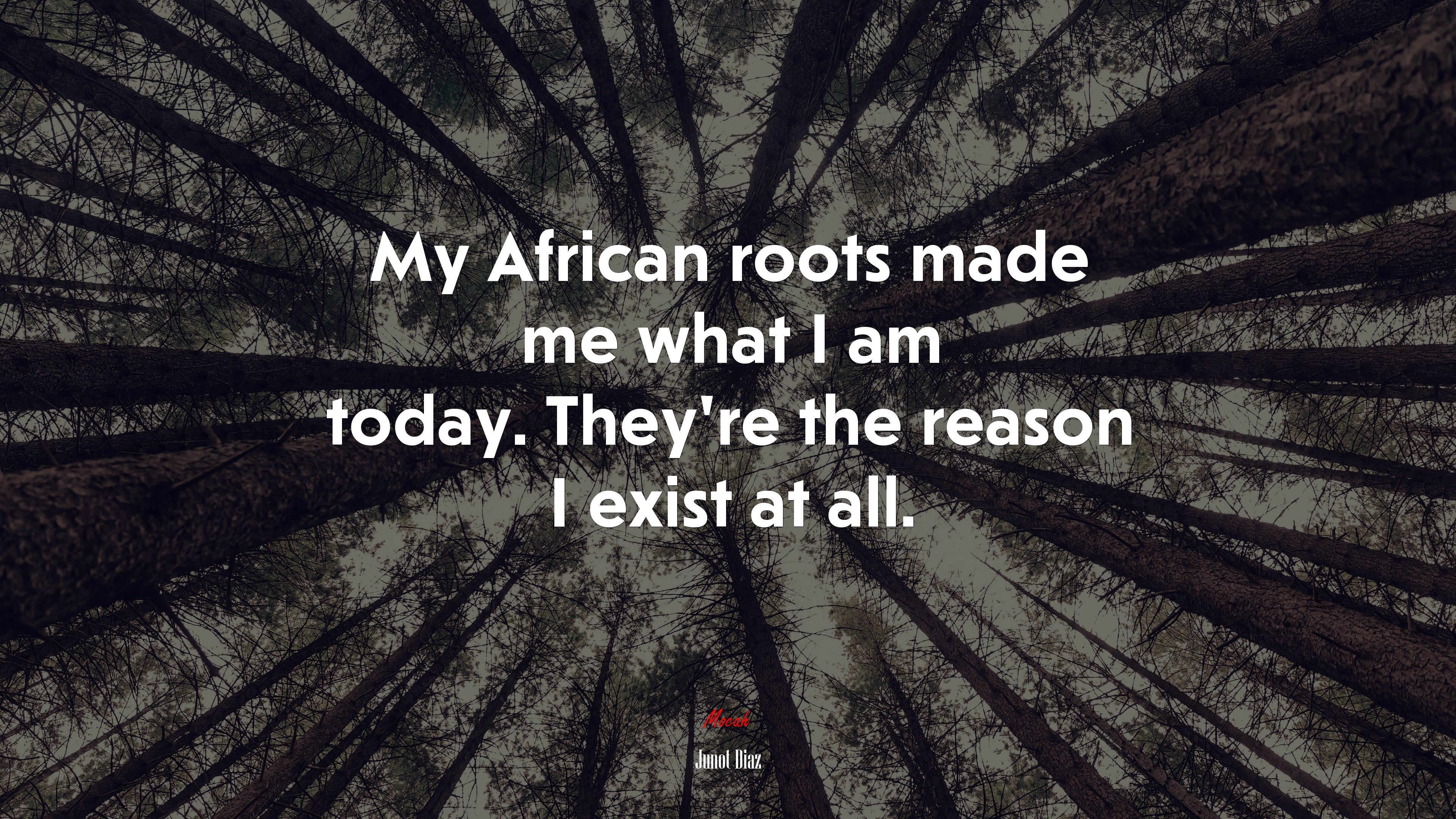 My African roots made me what I am today. They’re the reason I exist at all. | Junot Díaz quote HD Wallpaper