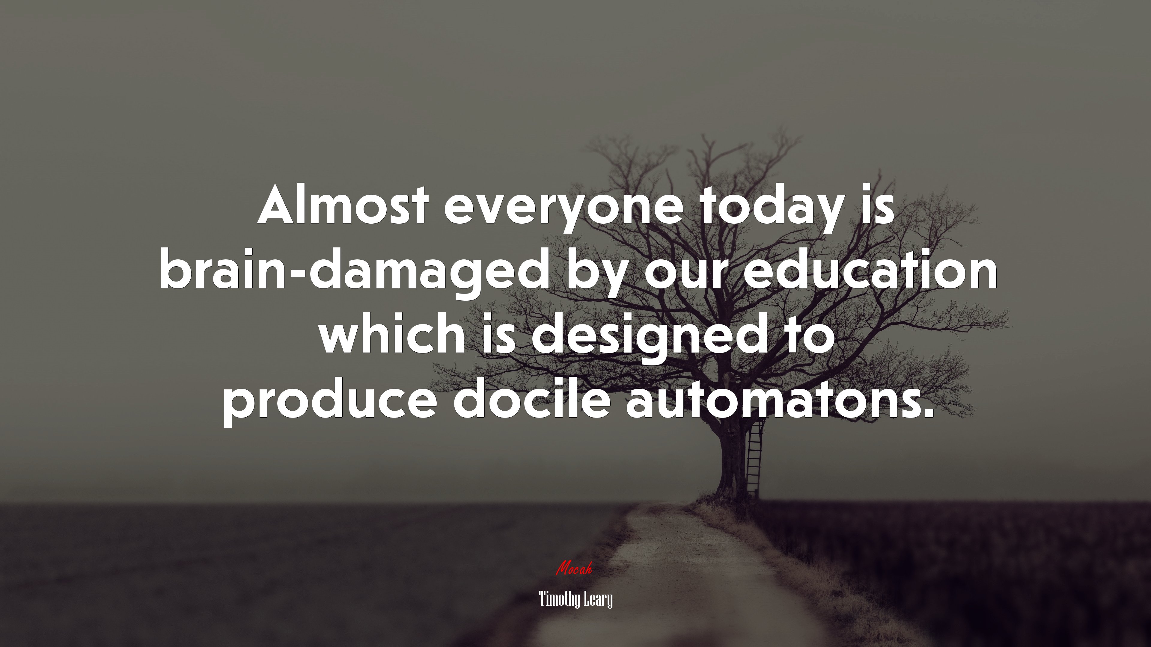 Almost everyone today is brain-damaged by our education which is designed to produce docile automatons. | Timothy Leary quote HD Wallpaper