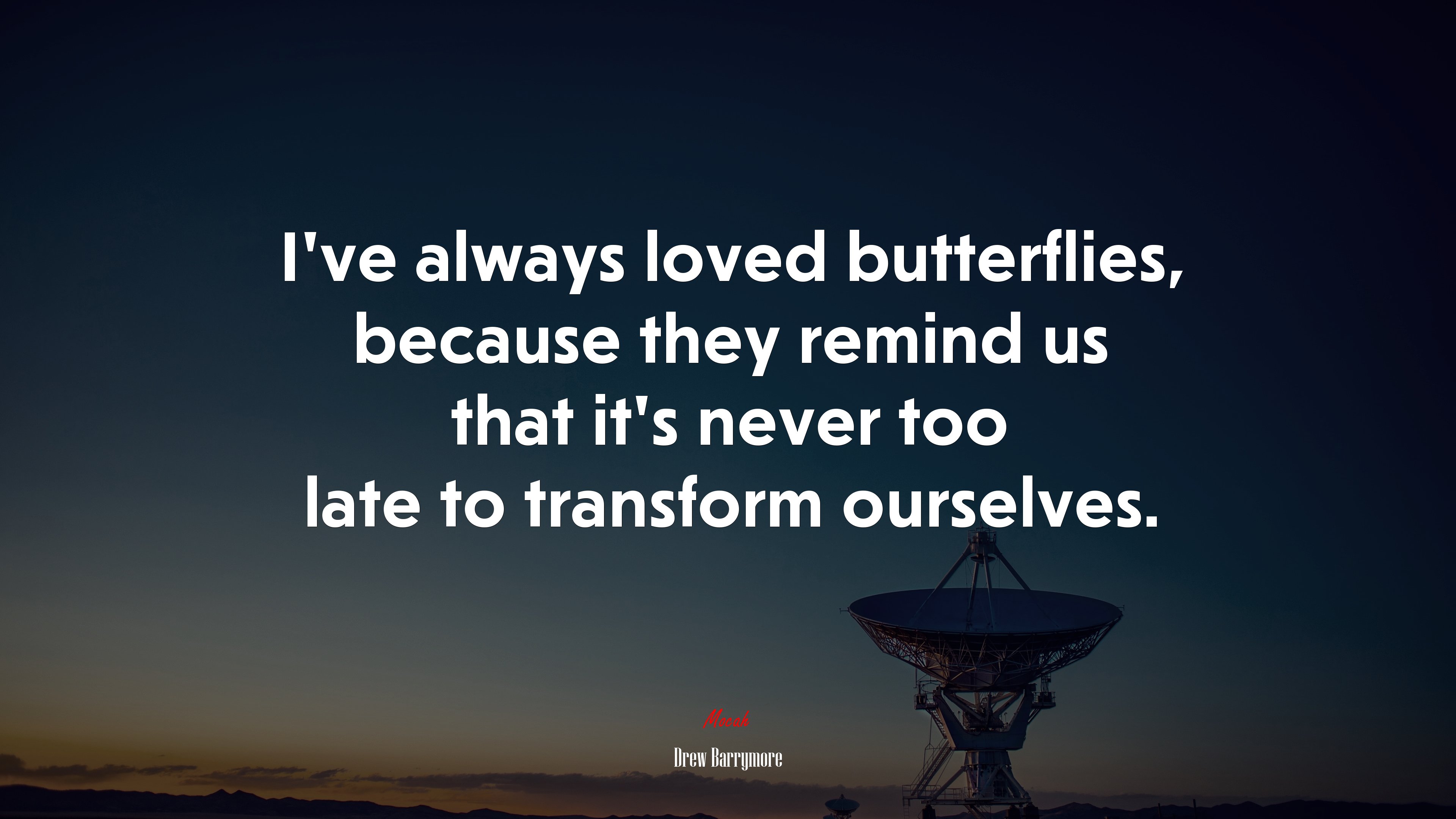 I’ve always loved butterflies, because they remind us that it’s never too late to transform ourselves. | Drew Barrymore quote HD Wallpaper