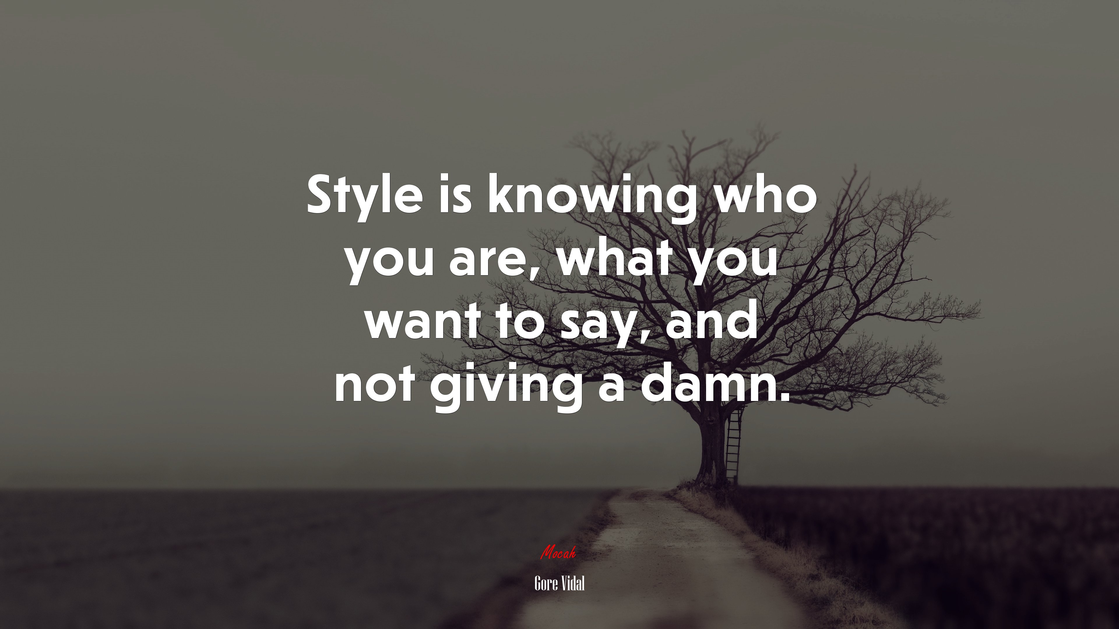 Style is knowing who you are, what you want to say, and not giving a damn. | Gore Vidal quote HD Wallpaper