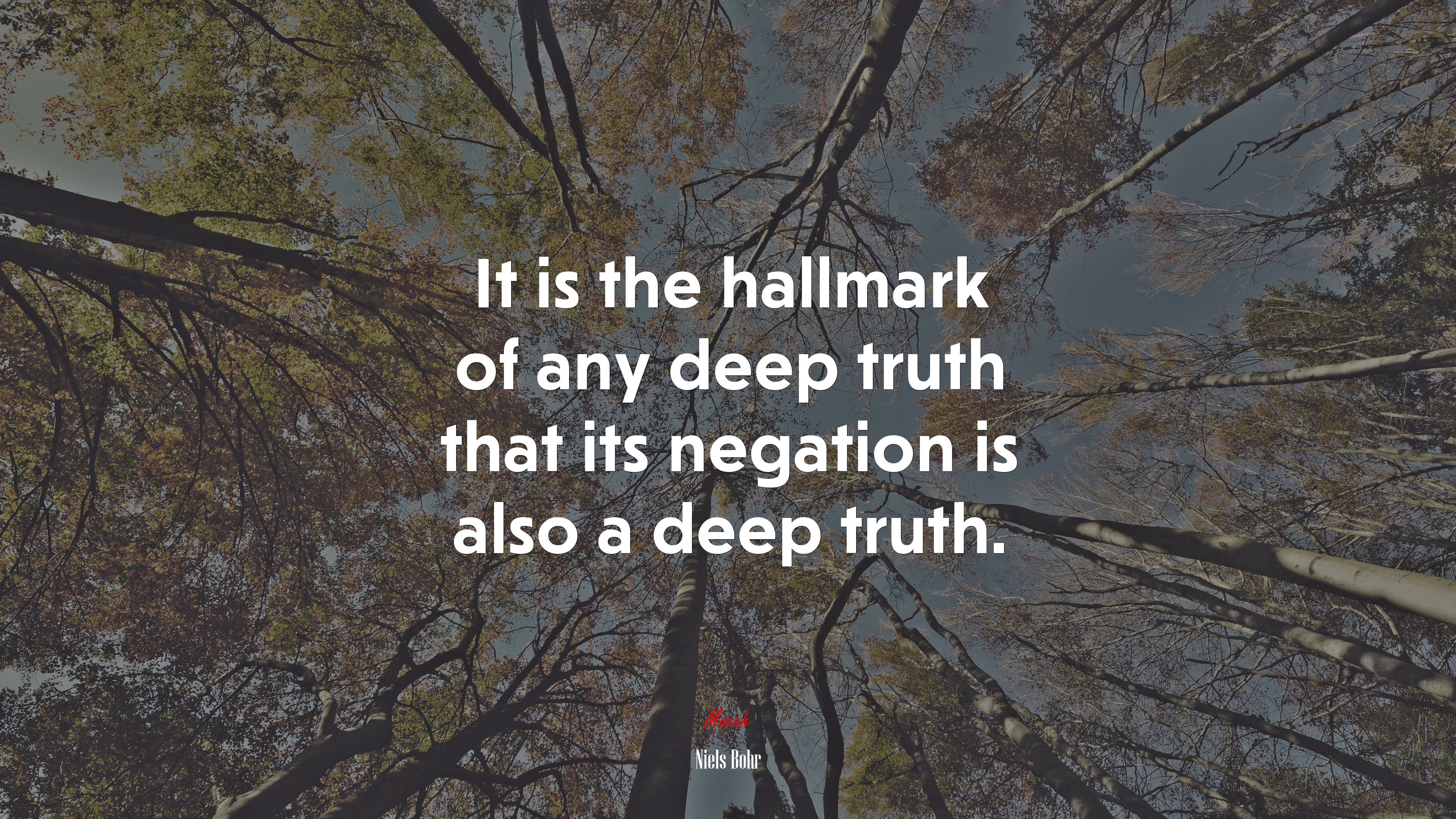 It is the hallmark of any deep truth that its negation is also a deep truth. | Niels Bohr quote HD Wallpaper