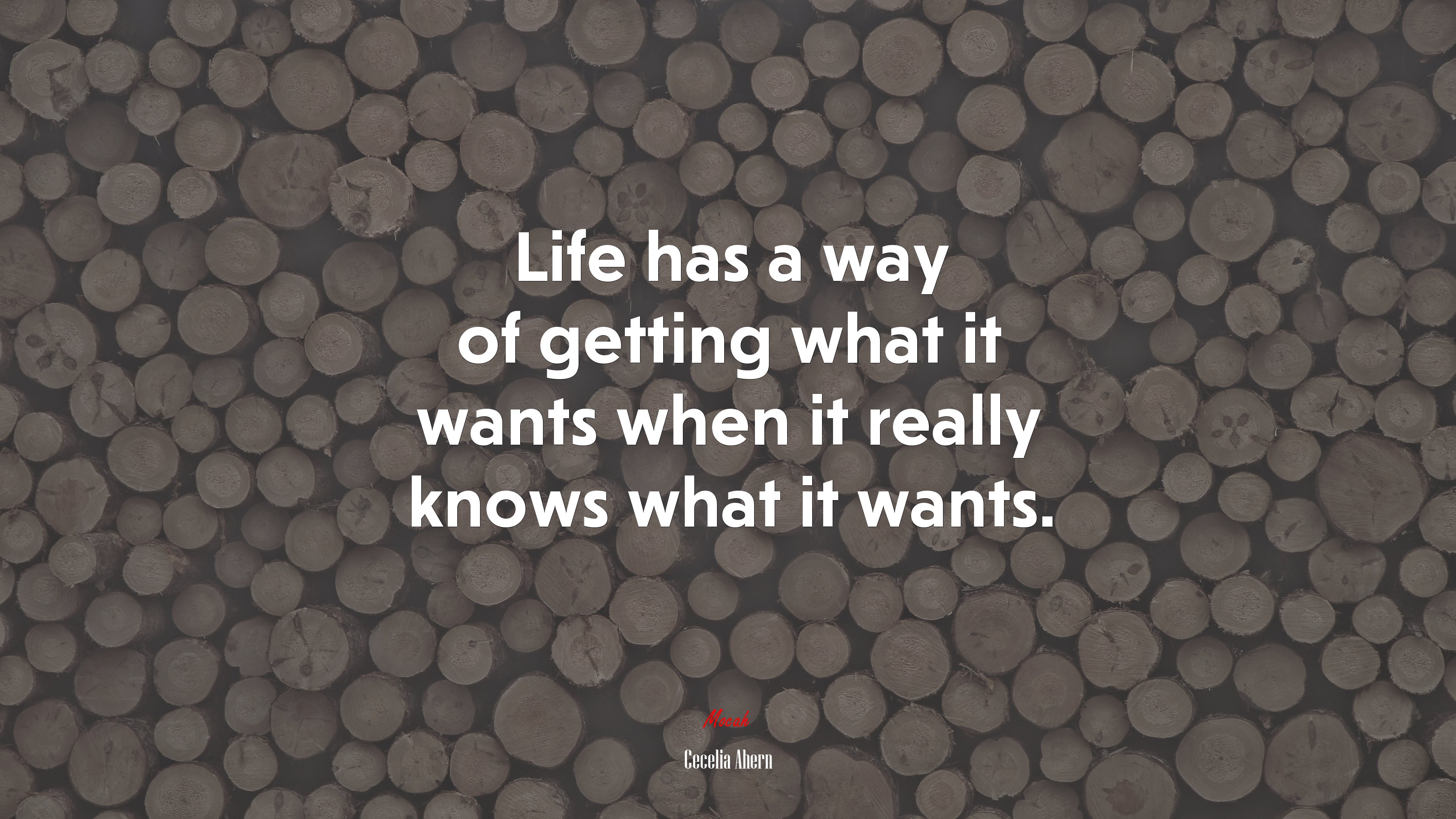 Life has a way of getting what it wants when it really knows what it wants. | Cecelia Ahern quote HD Wallpaper