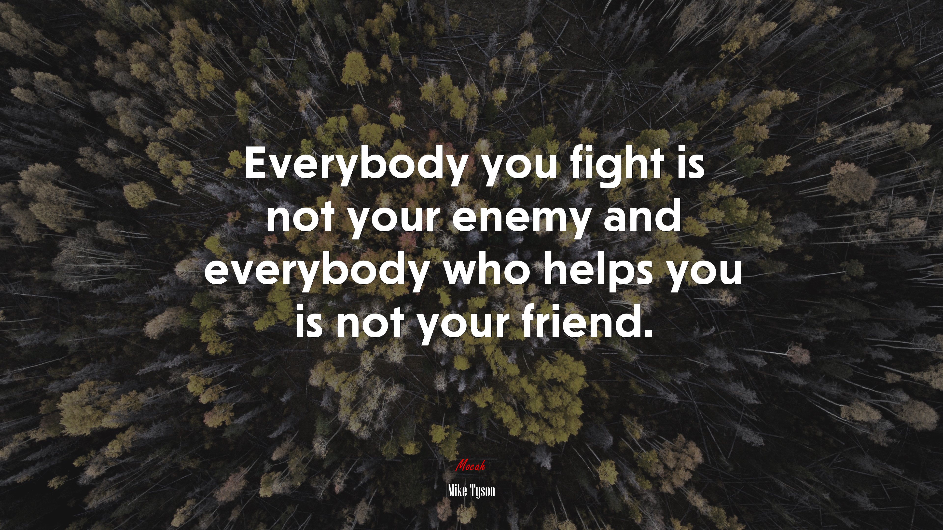 Everybody you fight is not your enemy and everybody who helps you is not your friend. | Mike Tyson quote HD Wallpaper