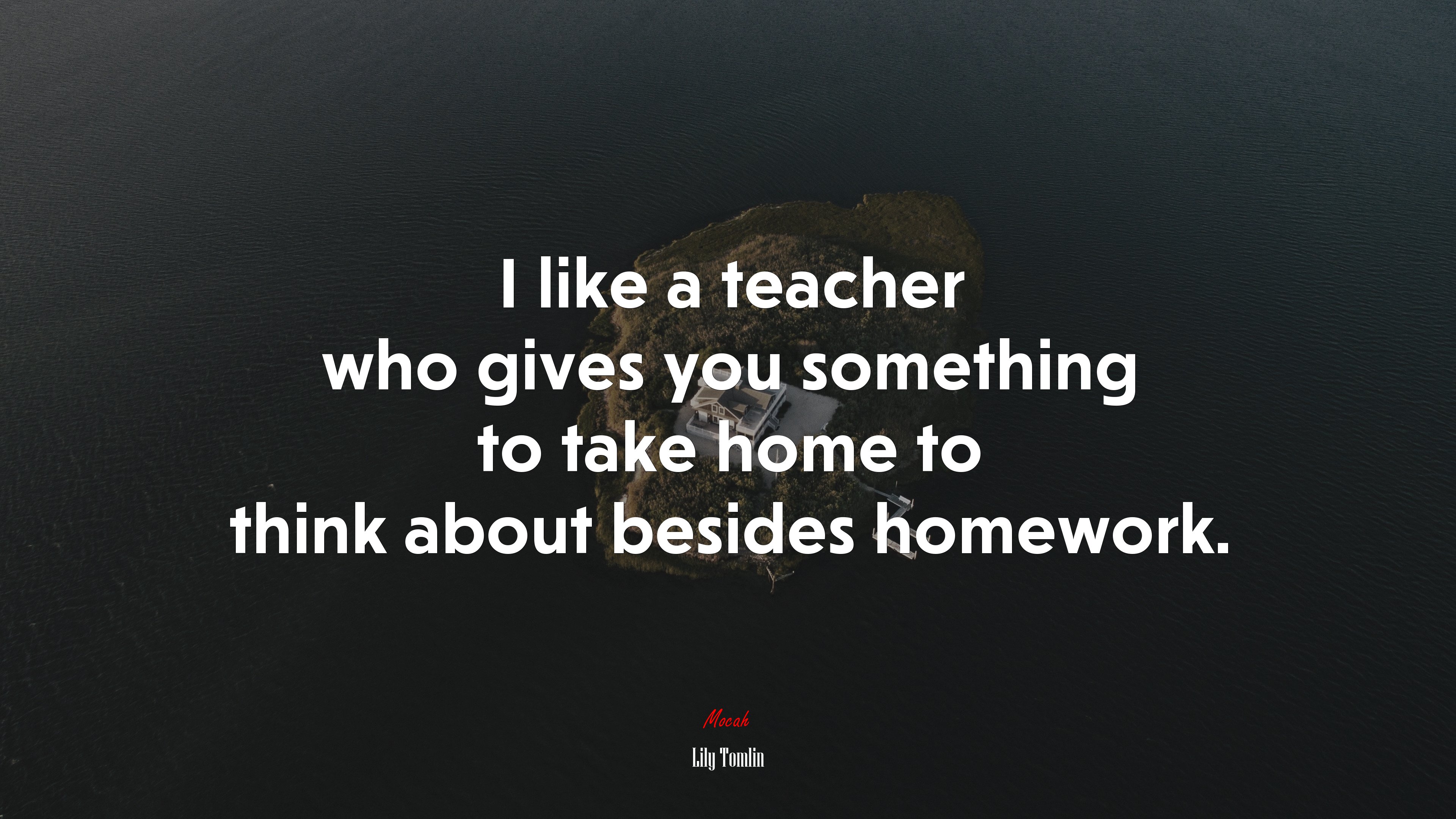 I like a teacher who gives you something to take home to think about besides homework. | Lily Tomlin quote HD Wallpaper