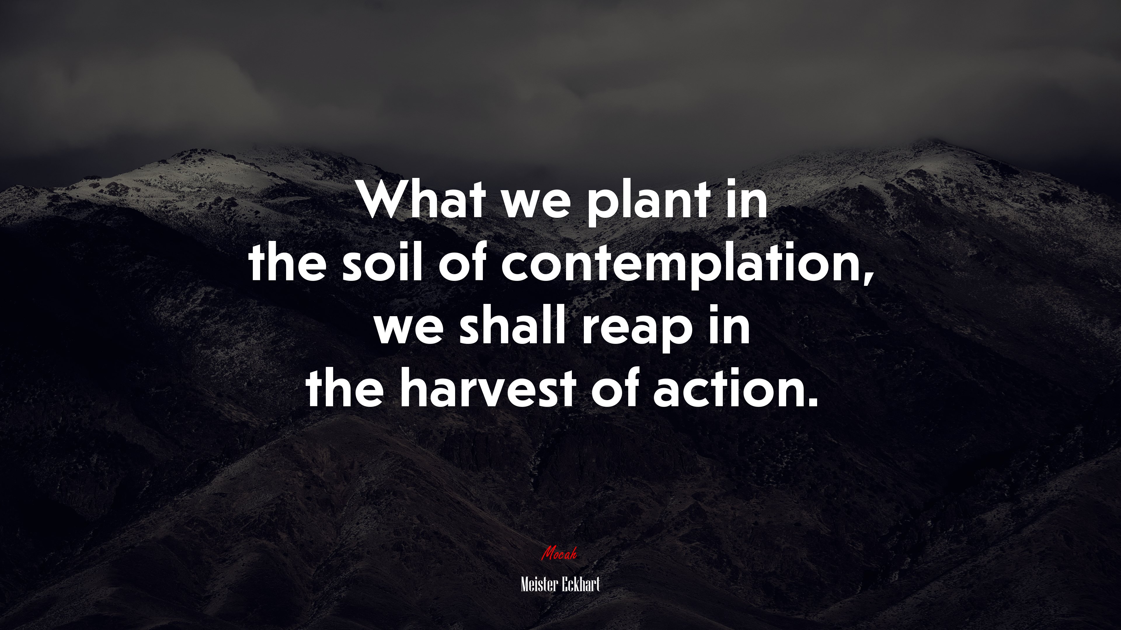 What we plant in the soil of contemplation, we shall reap in the harvest of action. | Meister Eckhart quote HD Wallpaper