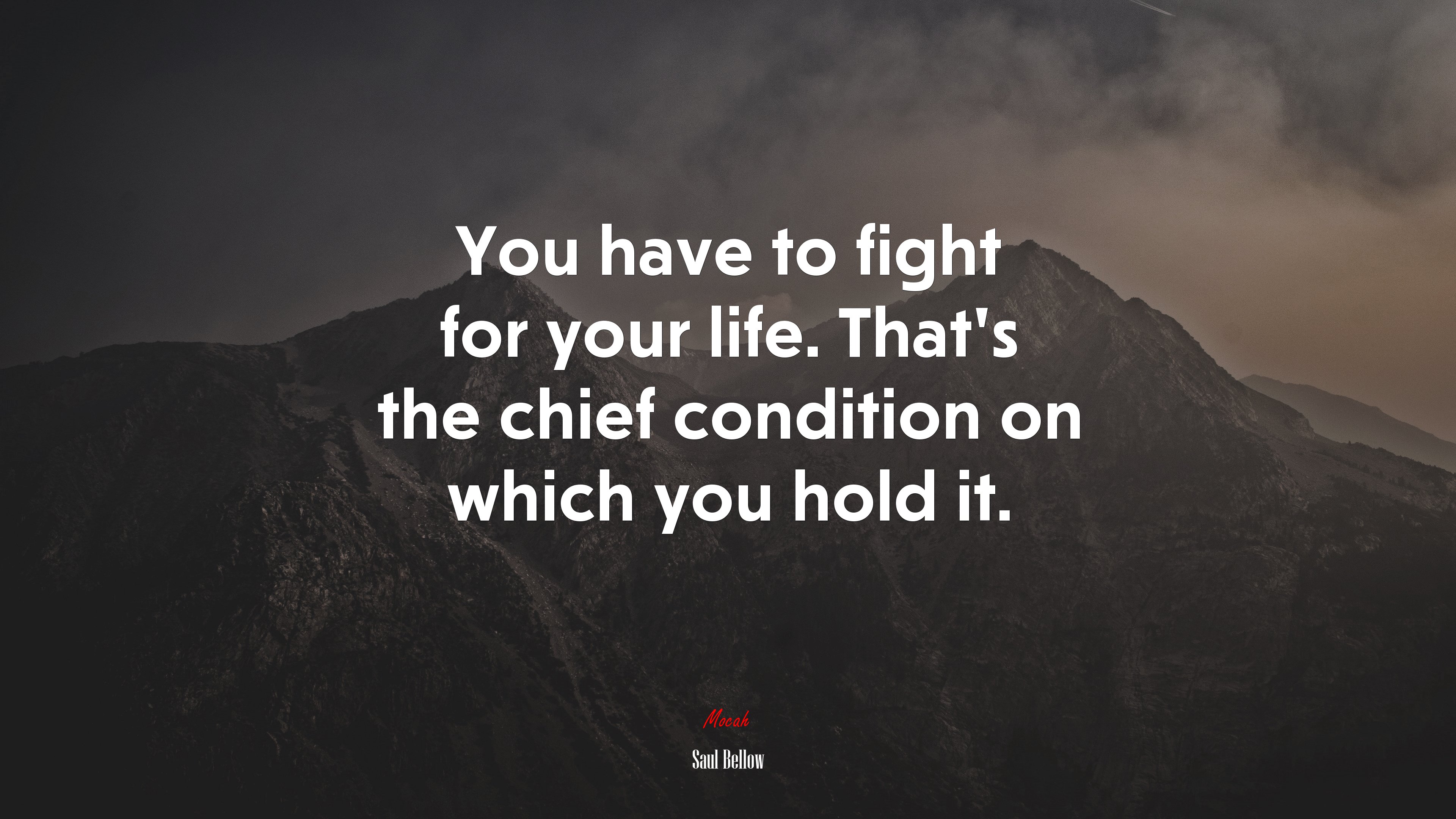 You have to fight for your life. That’s the chief condition on which you hold it. | Saul Bellow quote HD Wallpaper