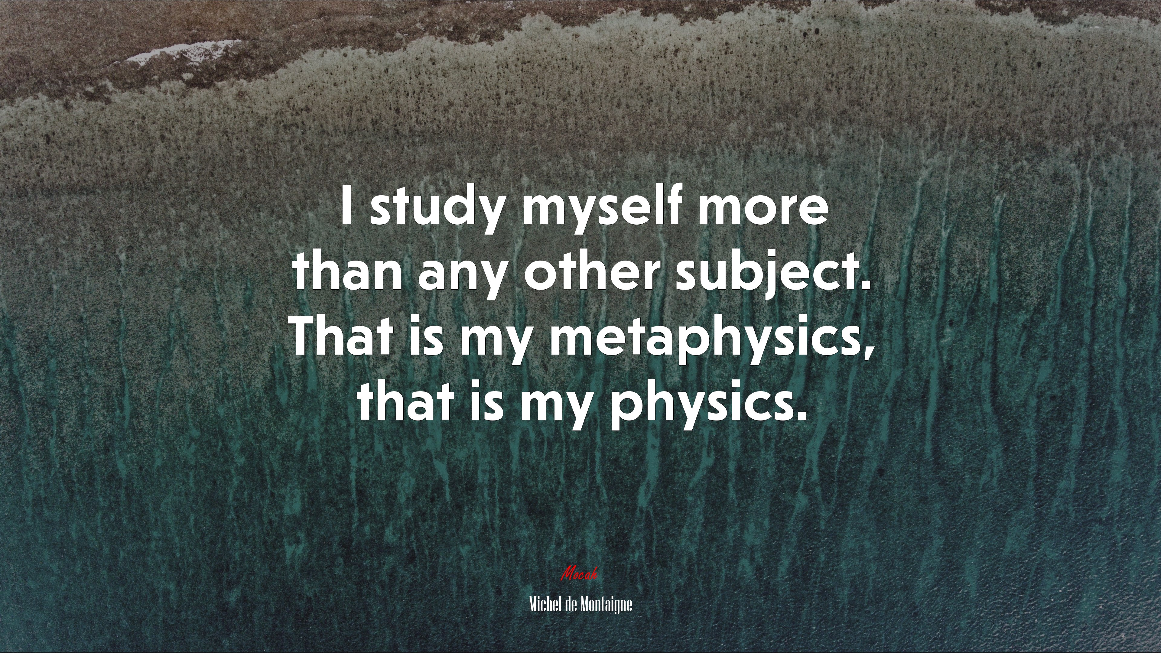 I study myself more than any other subject. That is my metaphysics, that is my physics. | Michel de Montaigne quote HD Wallpaper