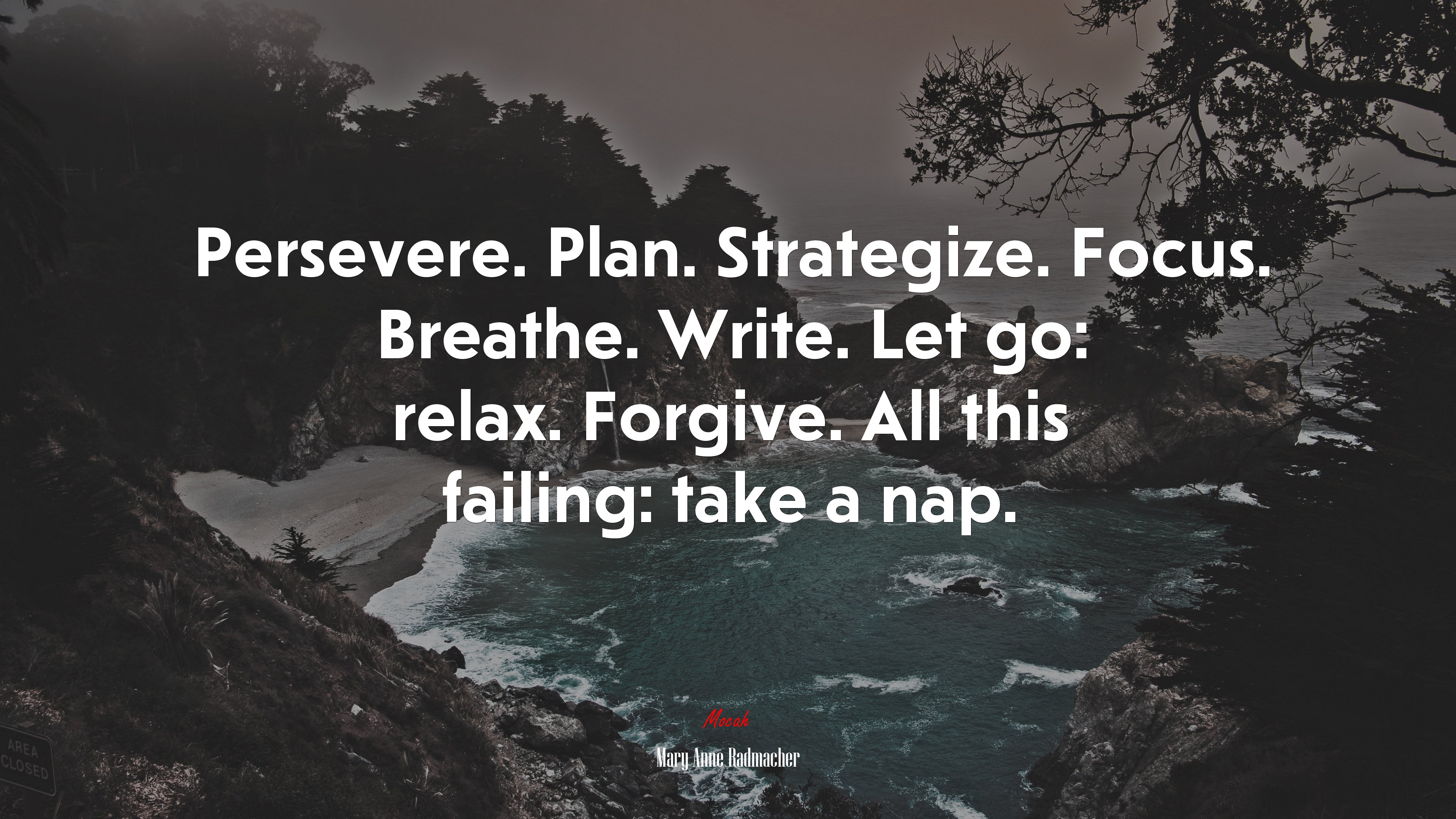 Persevere. Plan. Strategize. Focus. Breathe. Write. Let go: relax. Forgive. All this failing: take a nap. | Mary Anne Radmacher quote HD Wallpaper