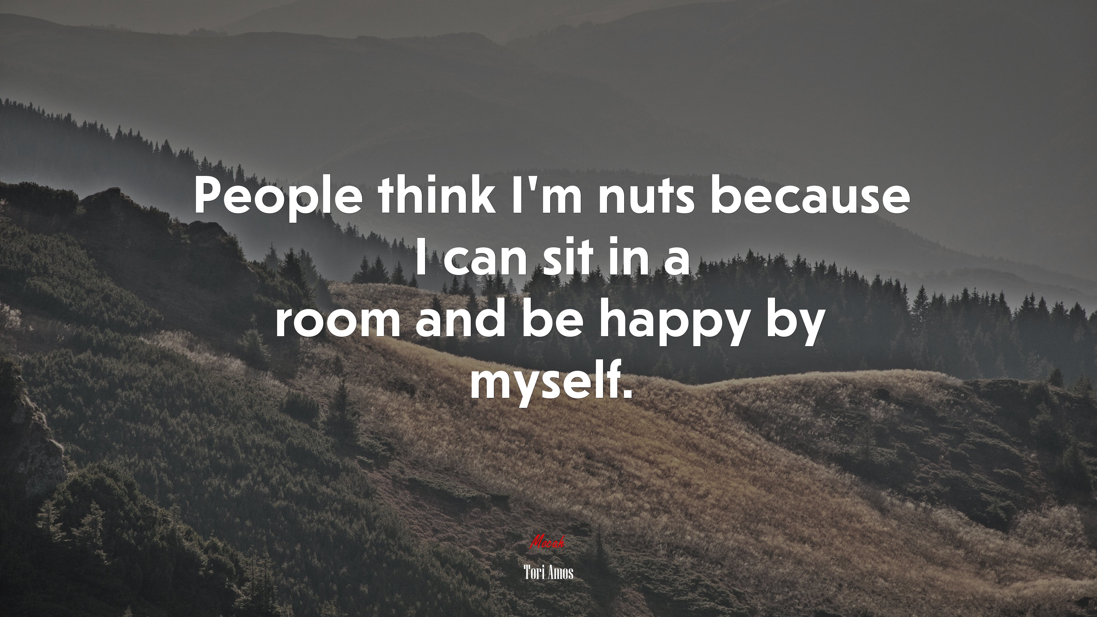 People think I’m nuts because I can sit in a room and be happy by myself. | Tori Amos quote HD Wallpaper