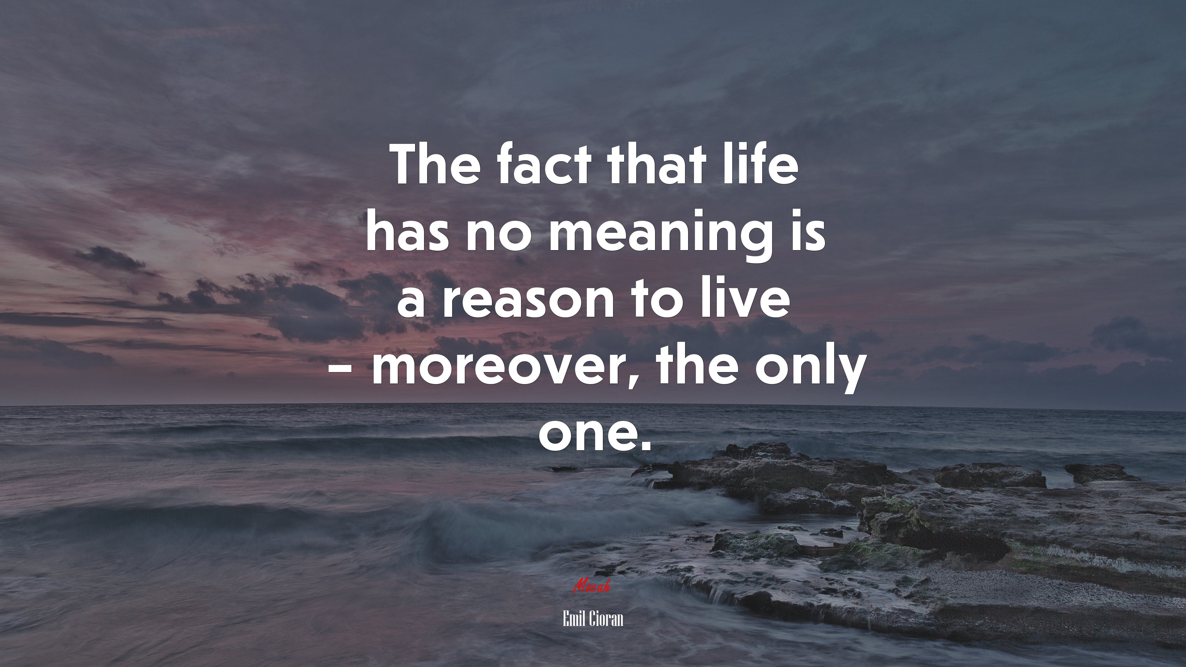 The fact that life has no meaning is a reason to live – moreover, the only one. | Emil Cioran quote HD Wallpaper