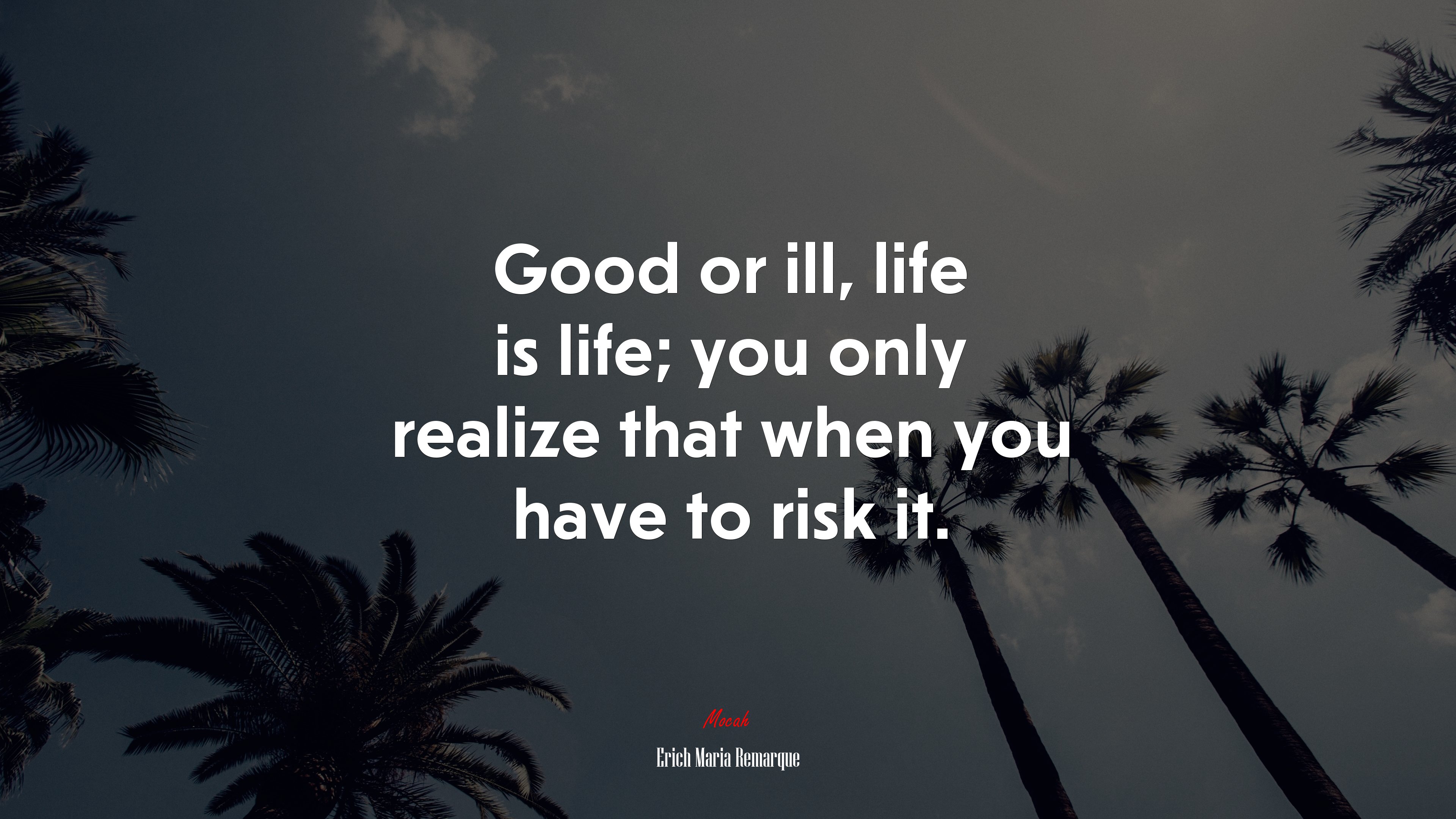 Good or ill, life is life; you only realize that when you have to risk it. | Erich Maria Remarque quote HD Wallpaper