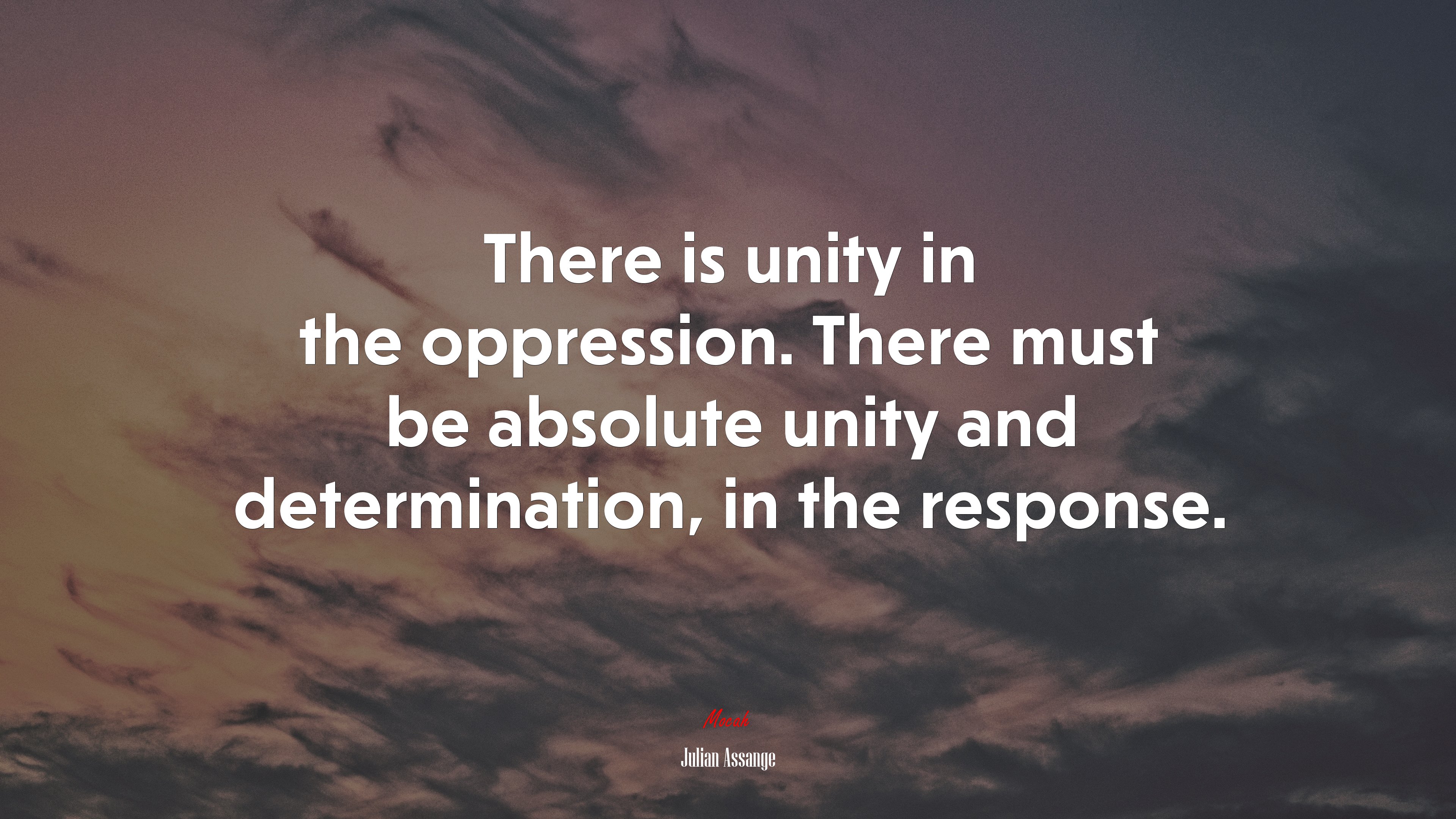 There is unity in the oppression. There must be absolute unity and determination, in the response. | Julian Assange quote HD Wallpaper