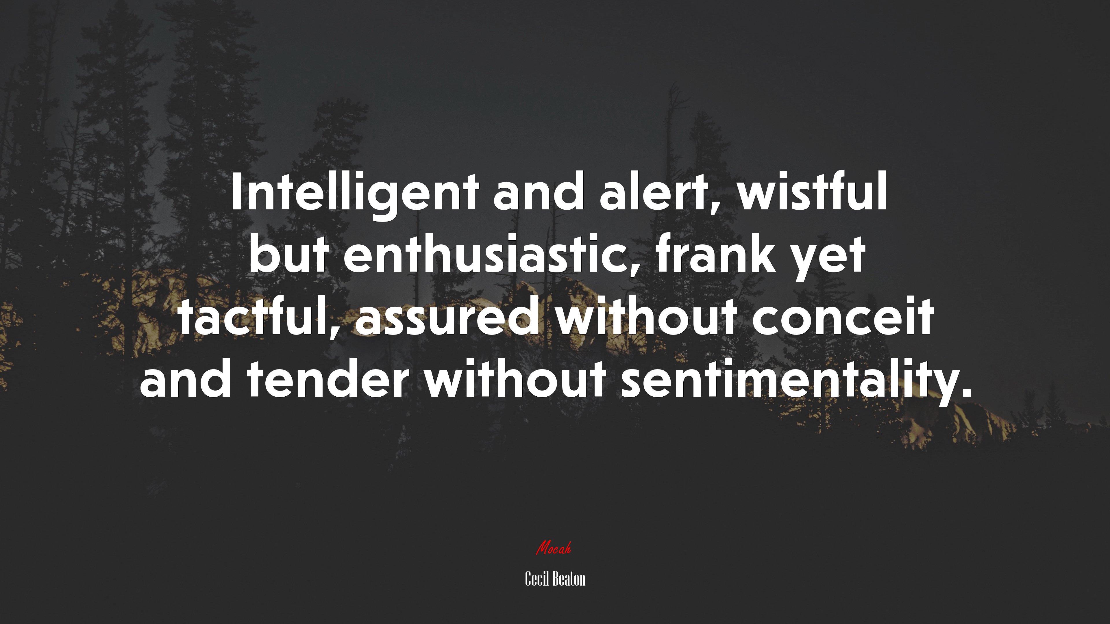Intelligent and alert, wistful but enthusiastic, frank yet tactful, assured without conceit and tender without sentimentality. | Cecil Beaton quote HD Wallpaper