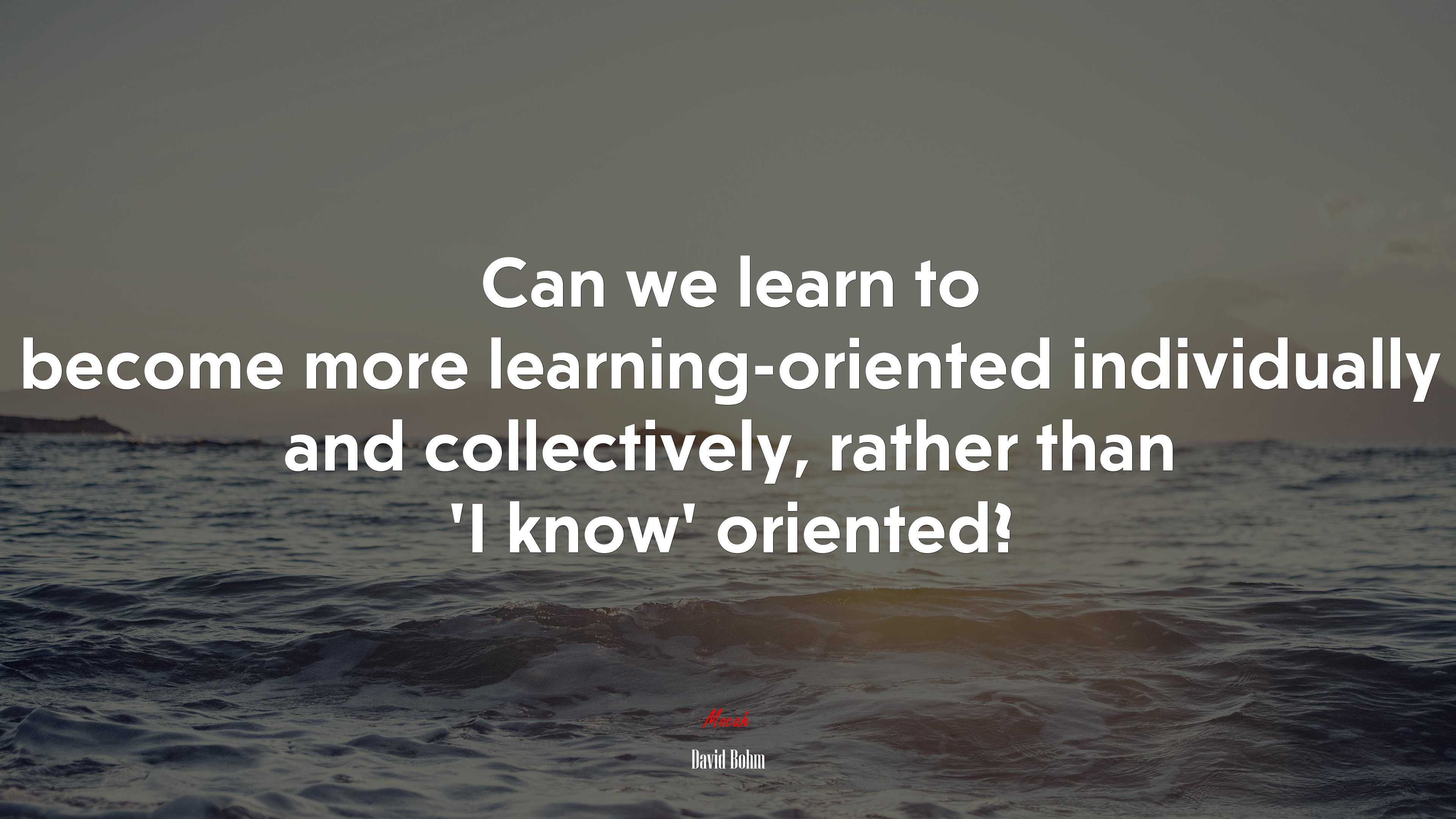 Can we learn to become more learning-oriented individually and collectively, rather than ‘I know’ oriented? | David Bohm quote HD Wallpaper