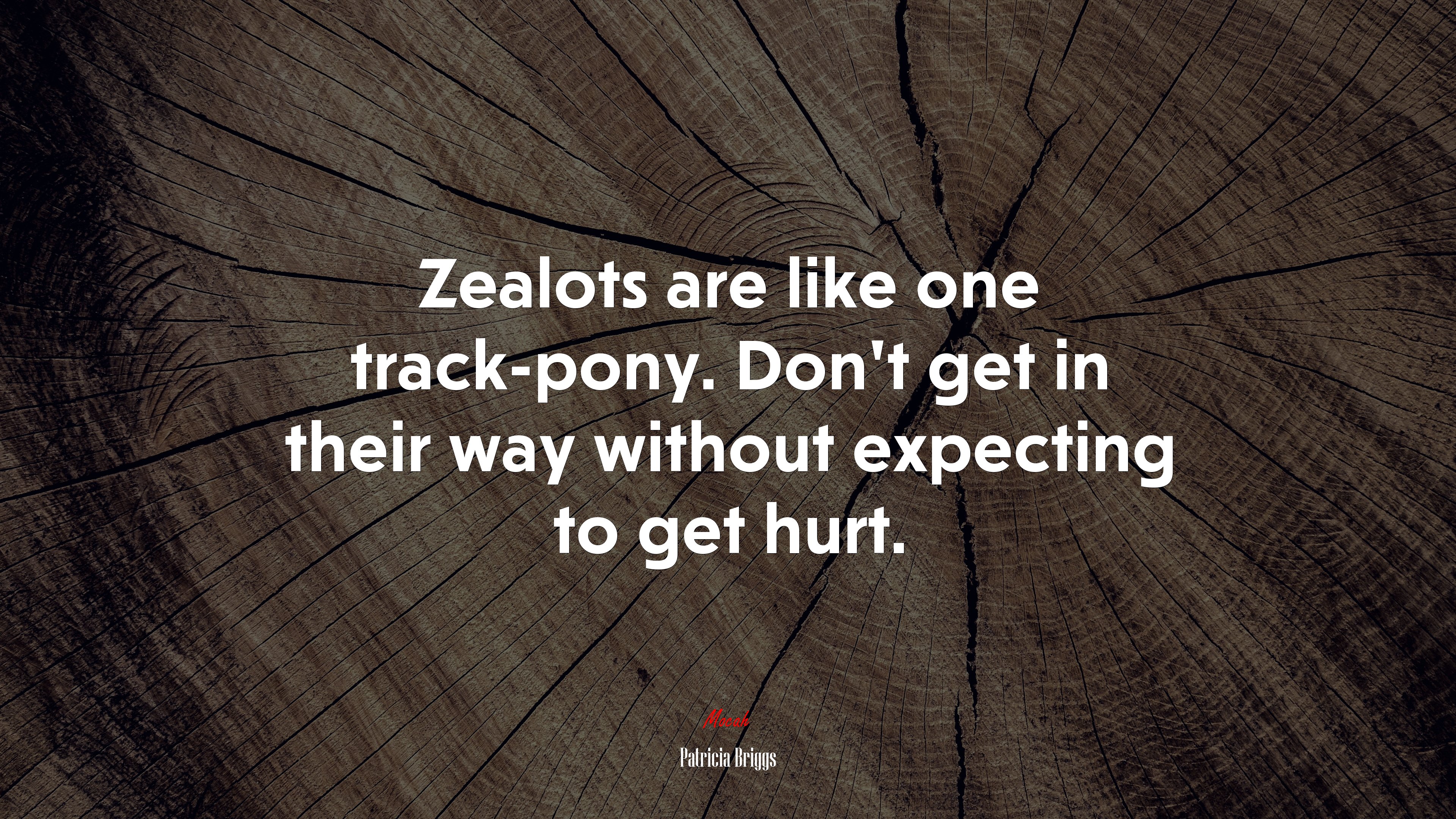 Zealots are like one track-pony. Don’t get in their way without expecting to get hurt. | Patricia Briggs quote HD Wallpaper