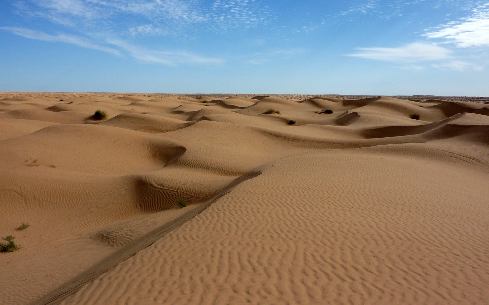 Desert sand dunes under a blue sky HD Wallpaper