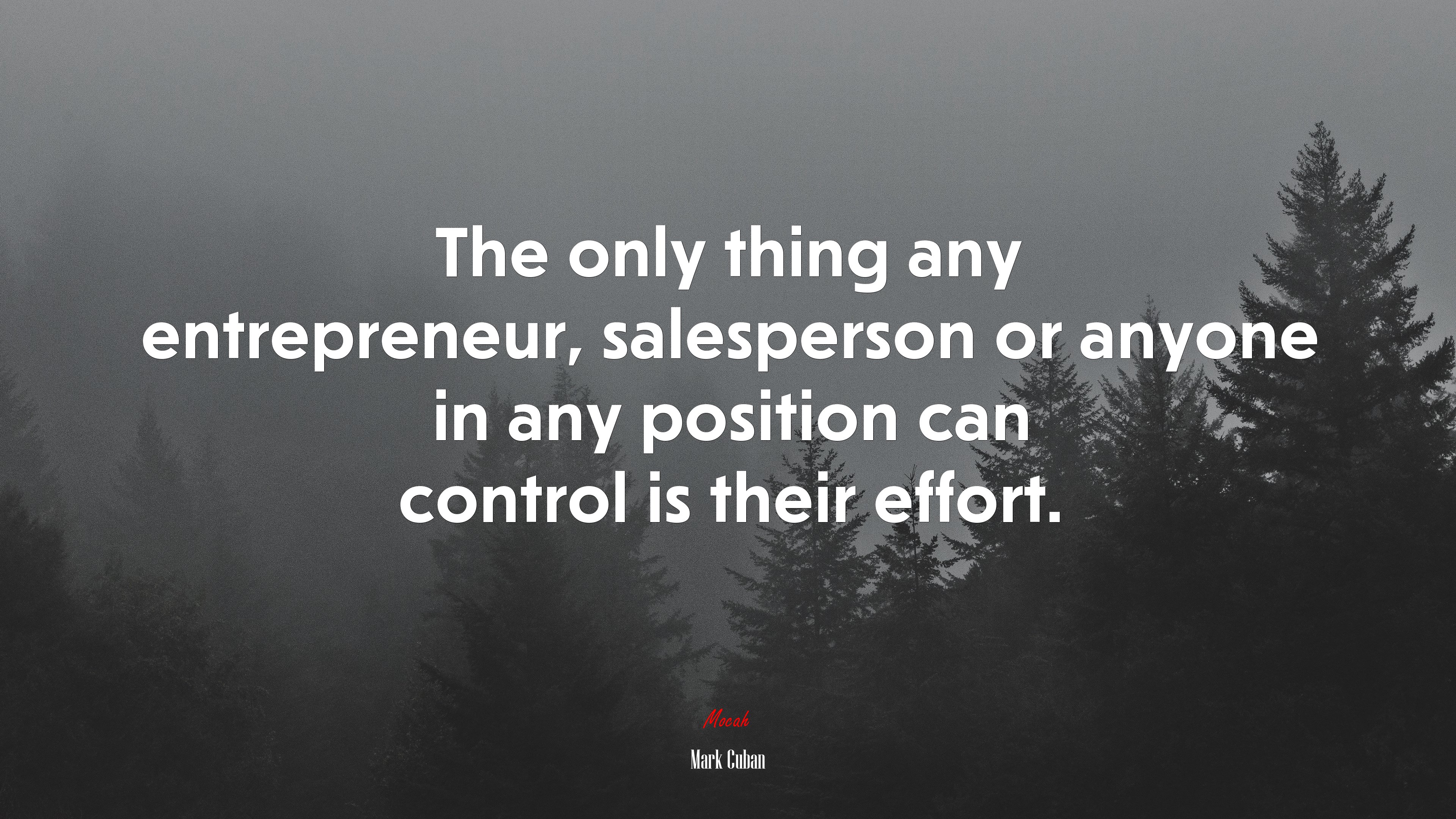 The only thing any entrepreneur, salesperson or anyone in any position can control is their effort. | Mark Cuban quote HD Wallpaper
