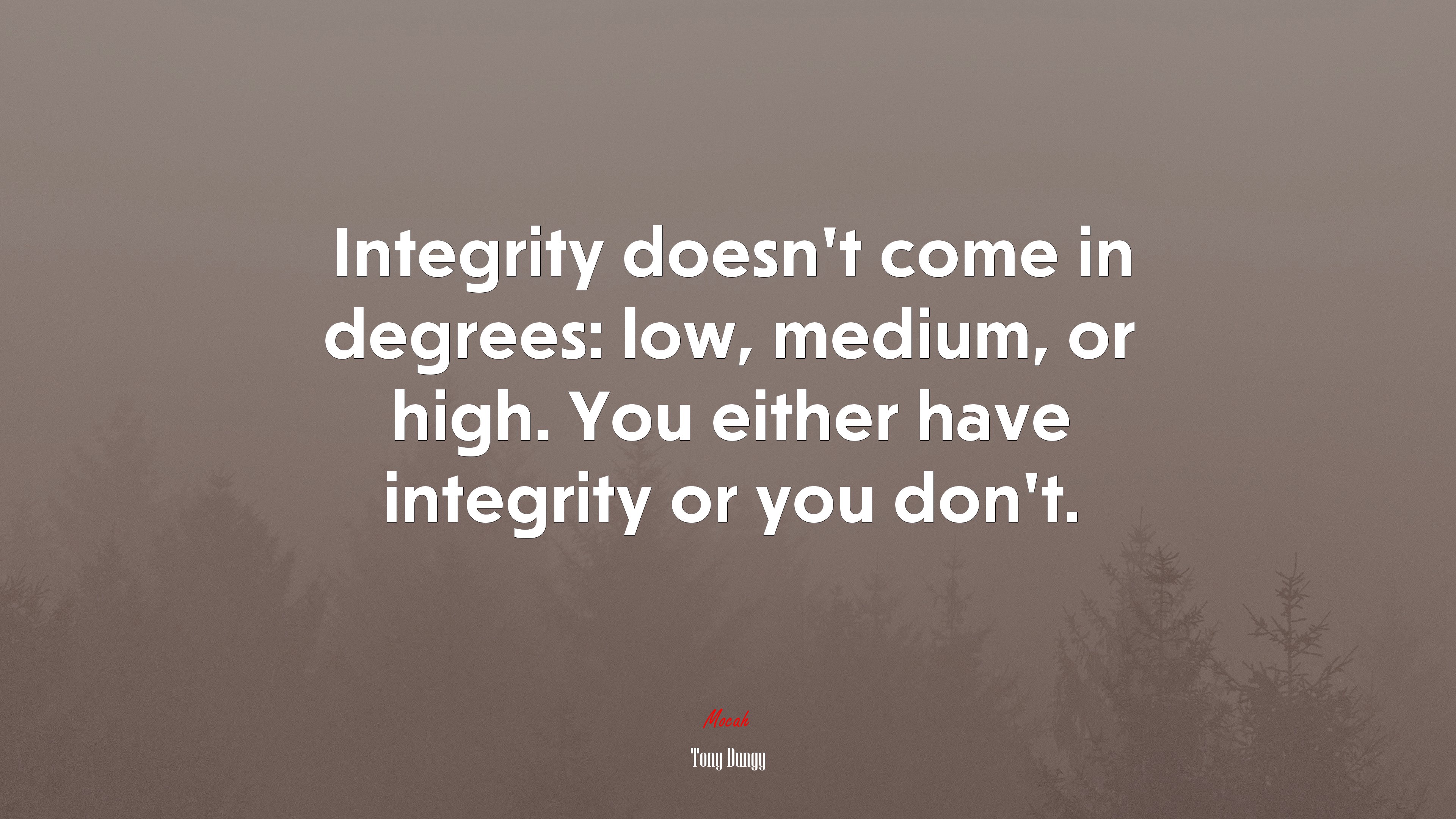 Integrity doesn’t come in degrees: low, medium, or high. You either have integrity or you don’t. | Tony Dungy quote HD Wallpaper