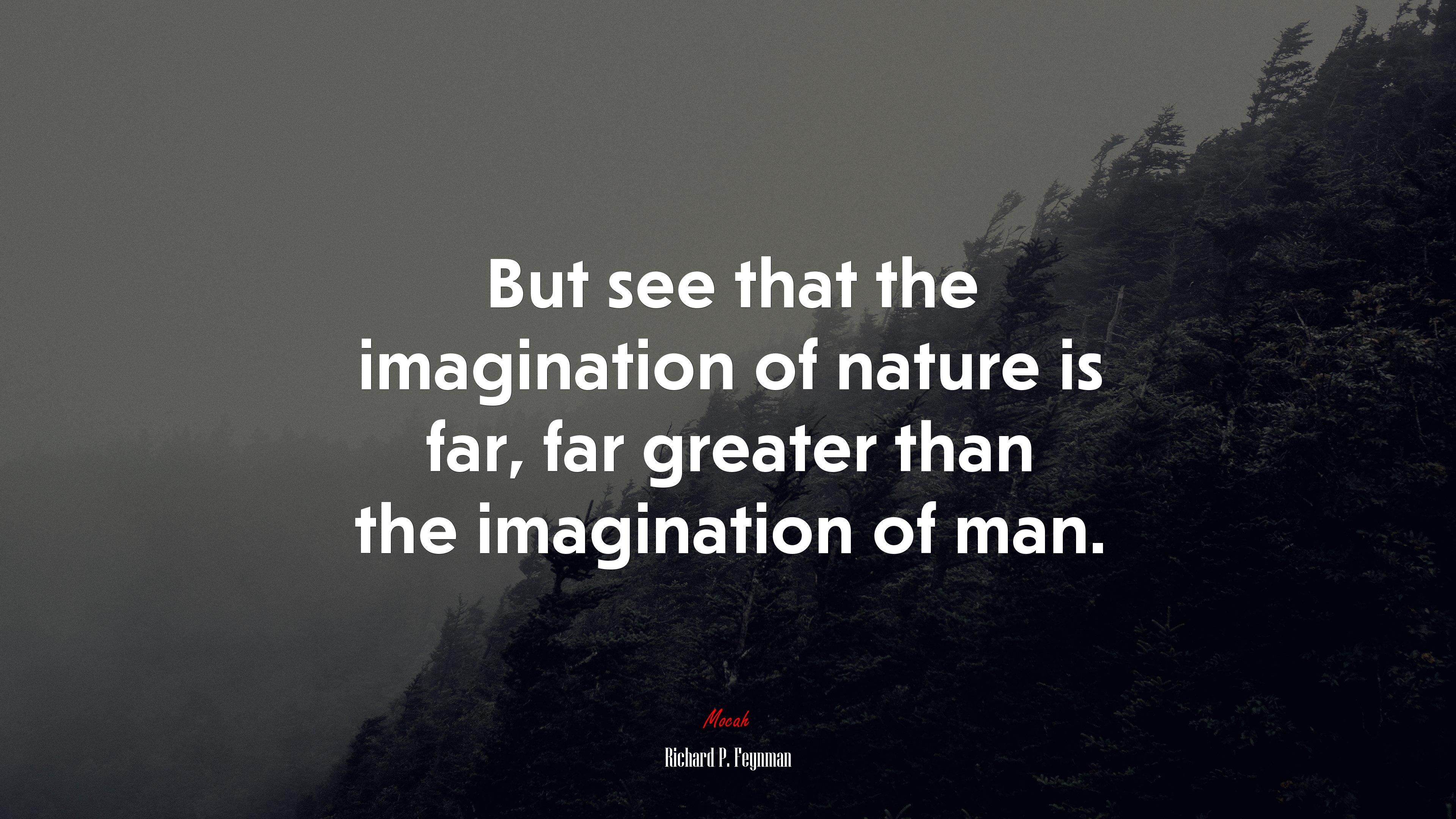 But see that the imagination of nature is far, far greater than the imagination of man. | Richard P. Feynman quote HD Wallpaper