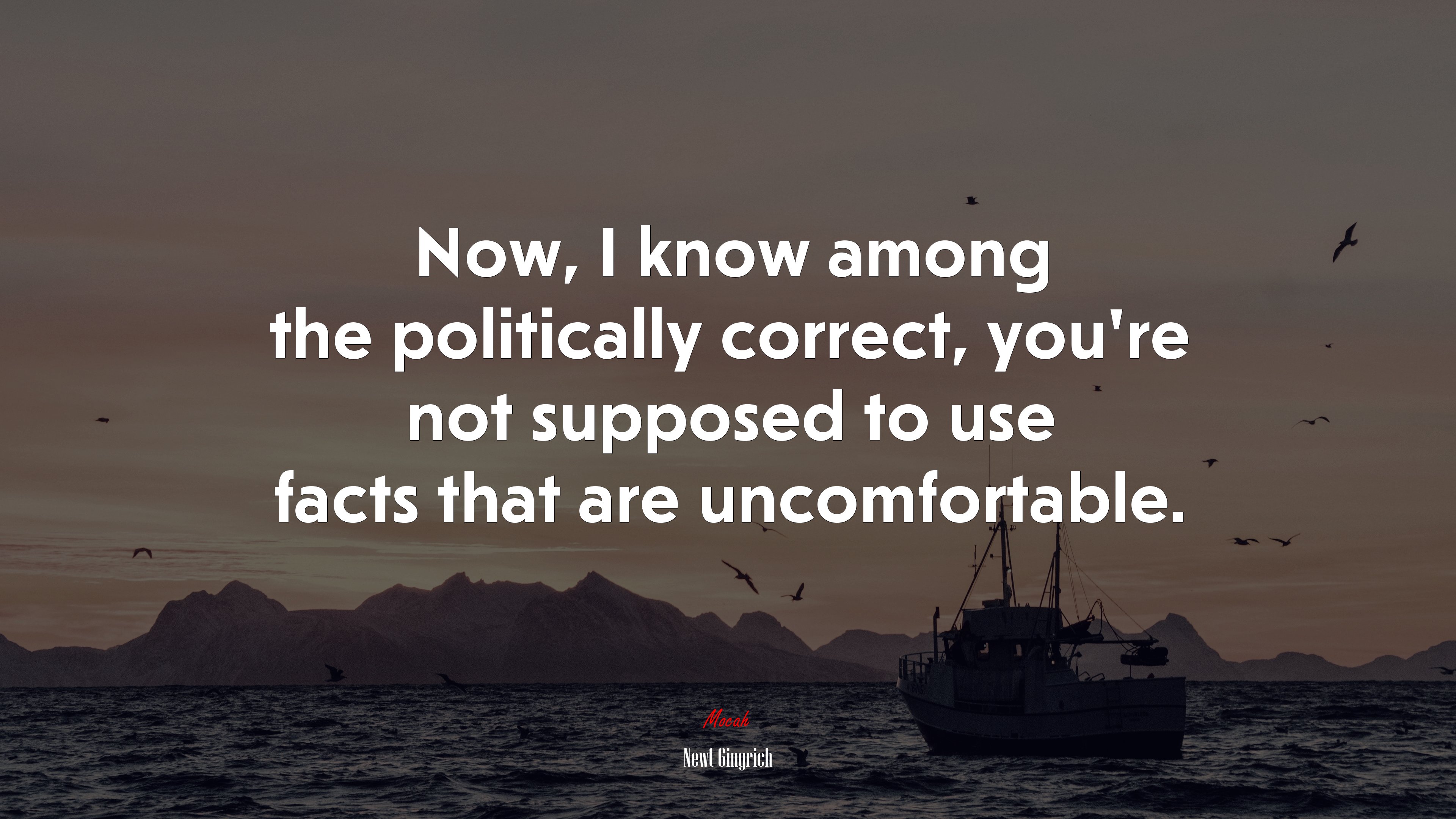 Now, I know among the politically correct, you’re not supposed to use facts that are uncomfortable. | Newt Gingrich quote HD Wallpaper
