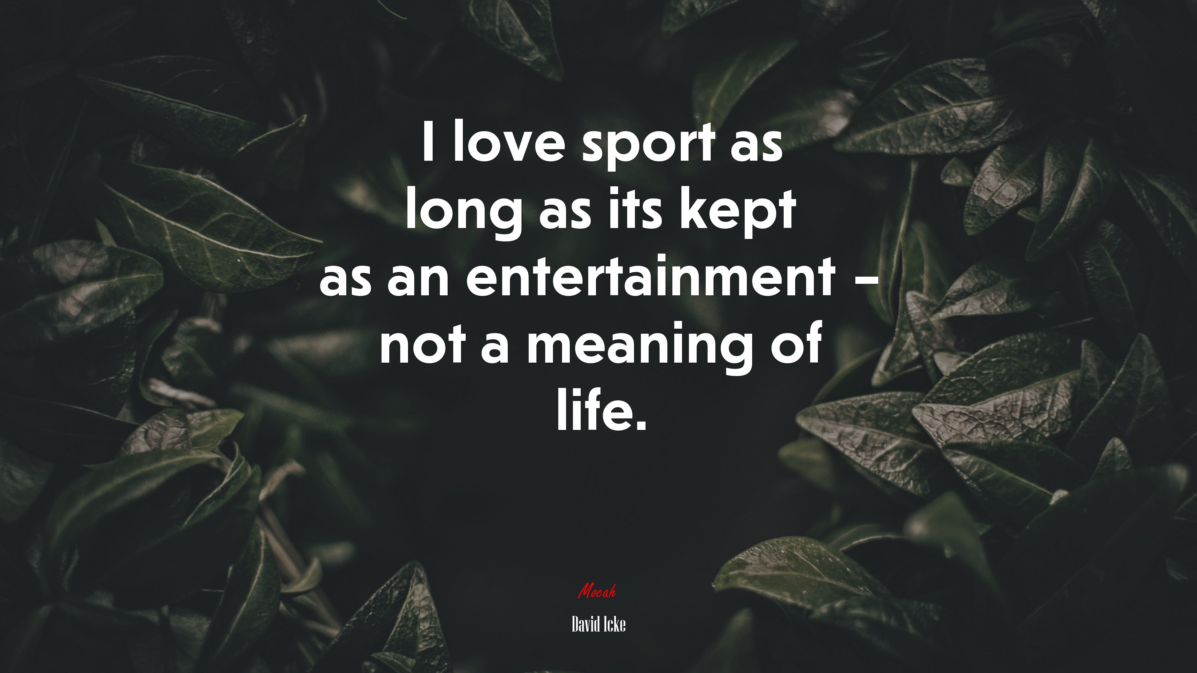 I love sport as long as its kept as an entertainment – not a meaning of life. | David Icke quote HD Wallpaper