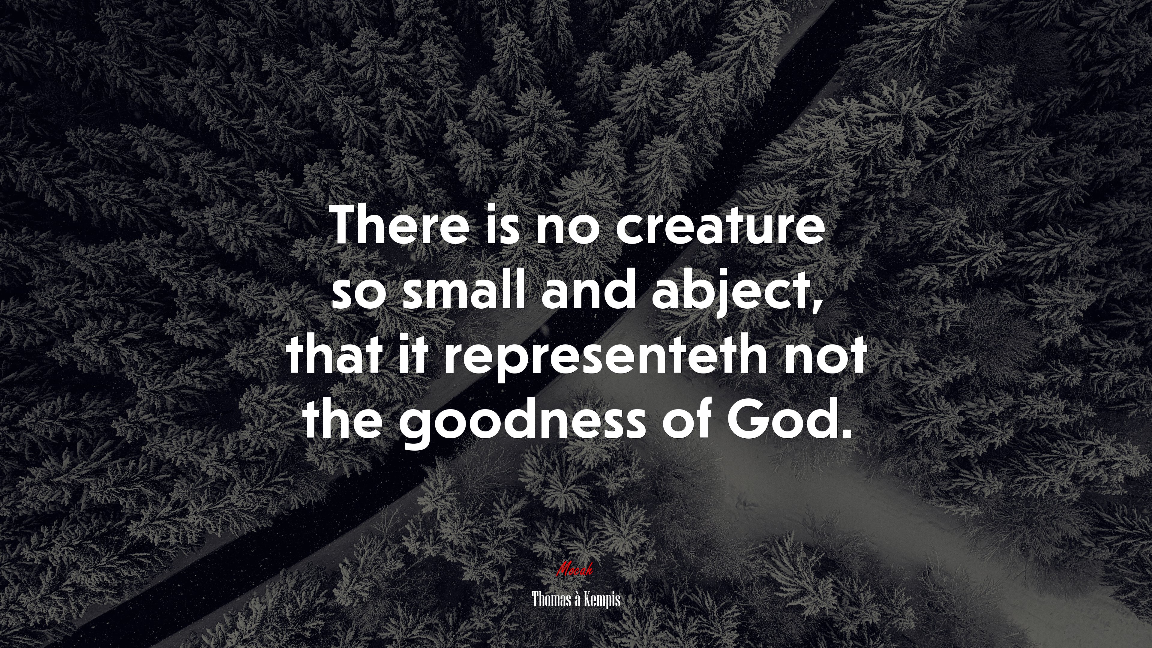 There is no creature so small and abject, that it representeth not the goodness of God. | Thomas à Kempis quote HD Wallpaper