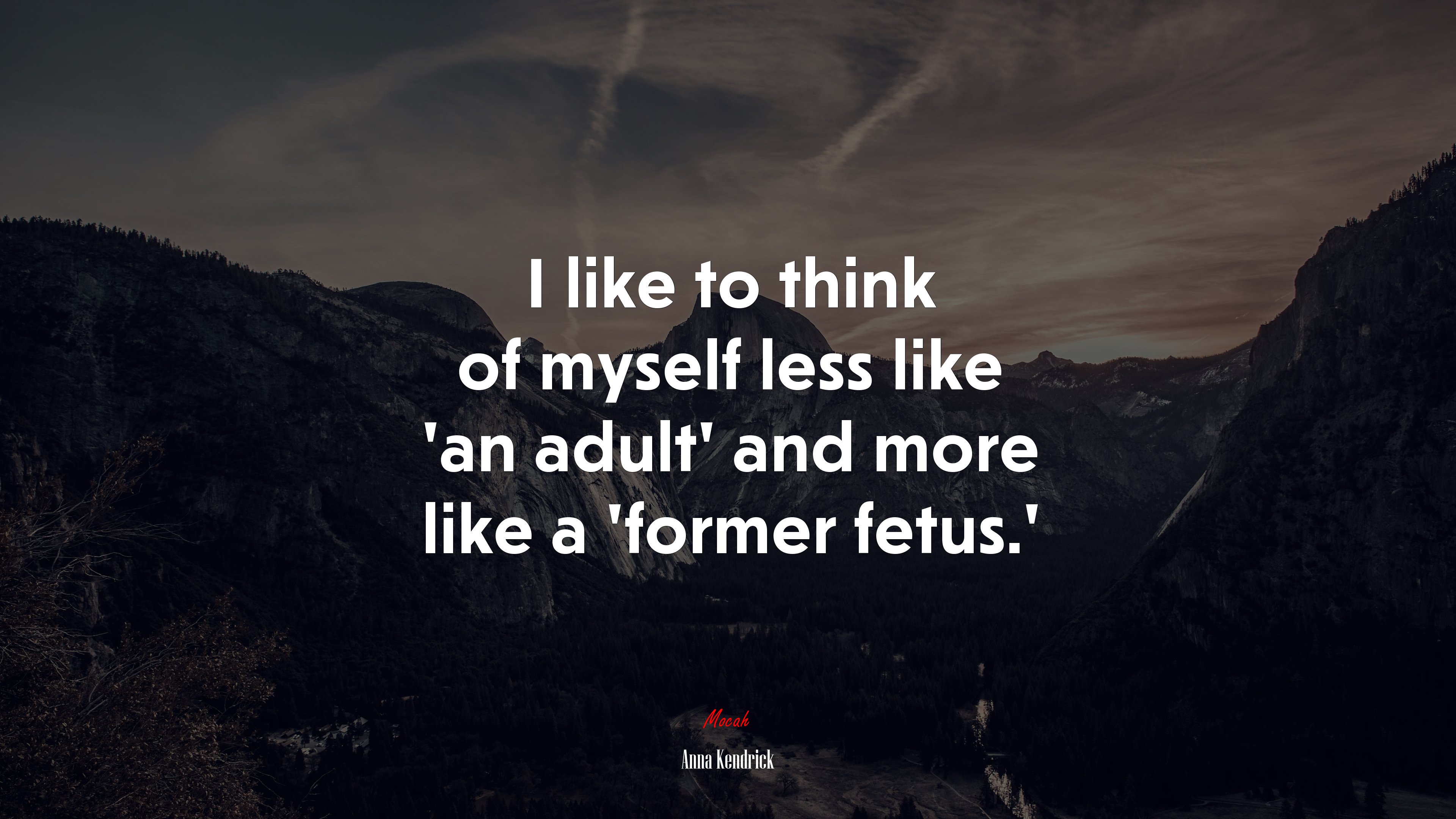 I like to think of myself less like ‘an adult’ and more like a ‘former fetus.’ | Anna Kendrick quote HD Wallpaper