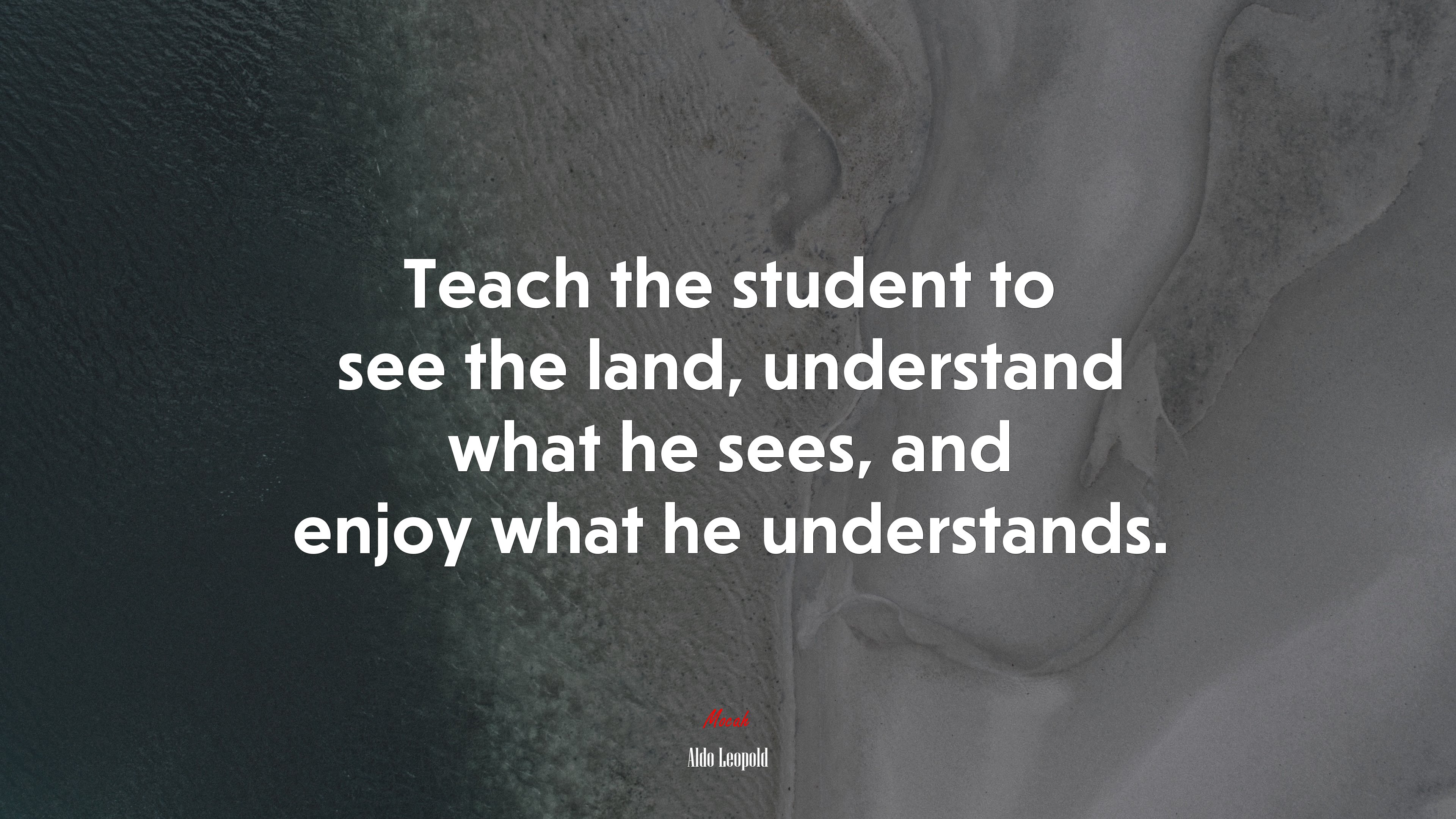 Teach the student to see the land, understand what he sees, and enjoy what he understands. | Aldo Leopold quote HD Wallpaper