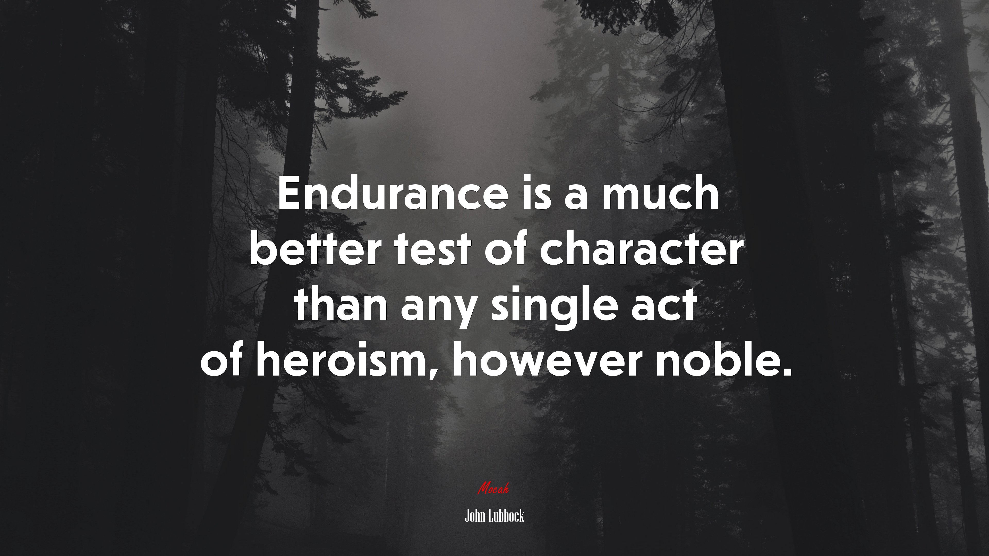 Endurance is a much better test of character than any single act of heroism, however noble. | John Lubbock quote HD Wallpaper