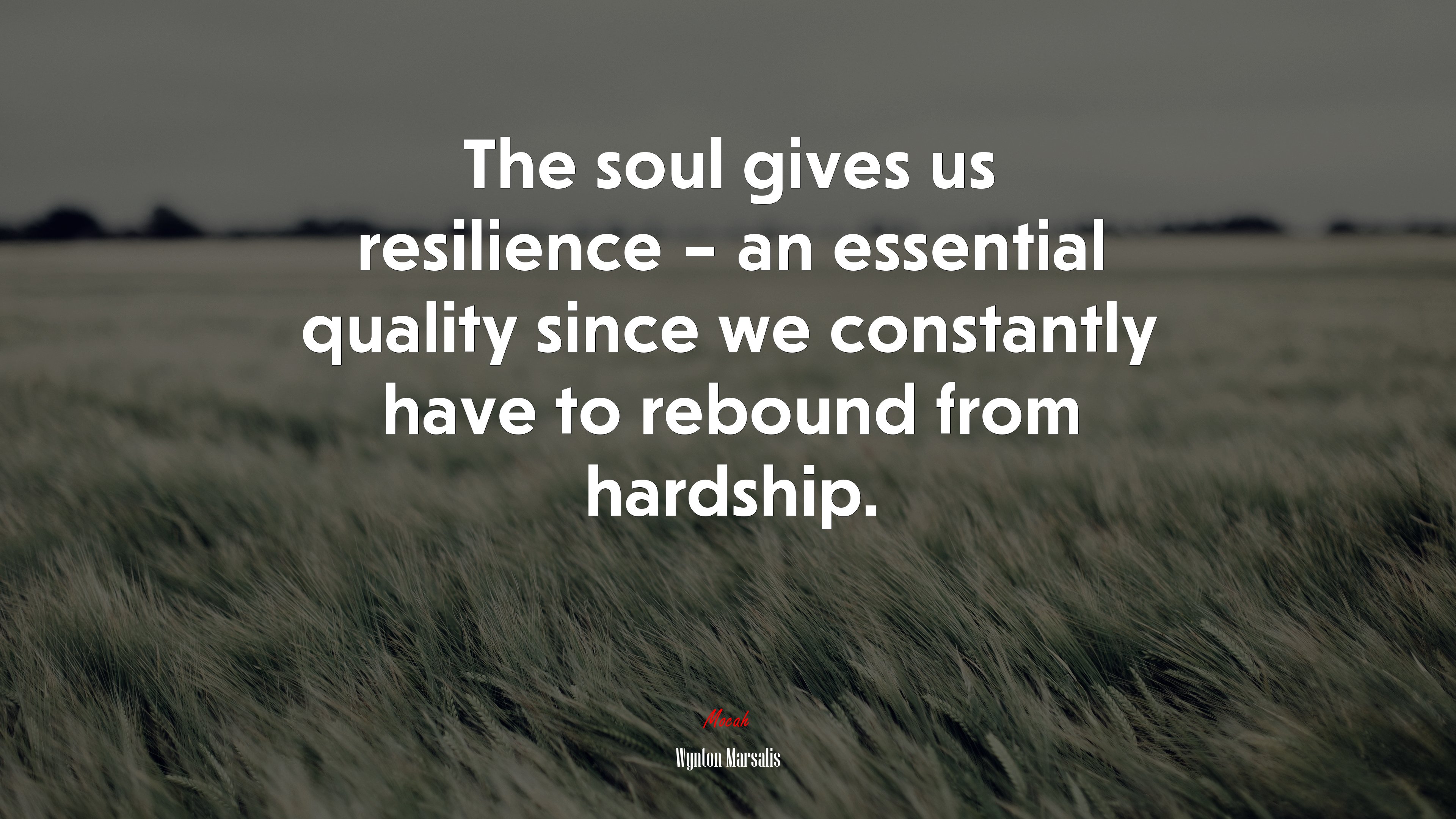 The soul gives us resilience – an essential quality since we constantly have to rebound from hardship. | Wynton Marsalis quote HD Wallpaper