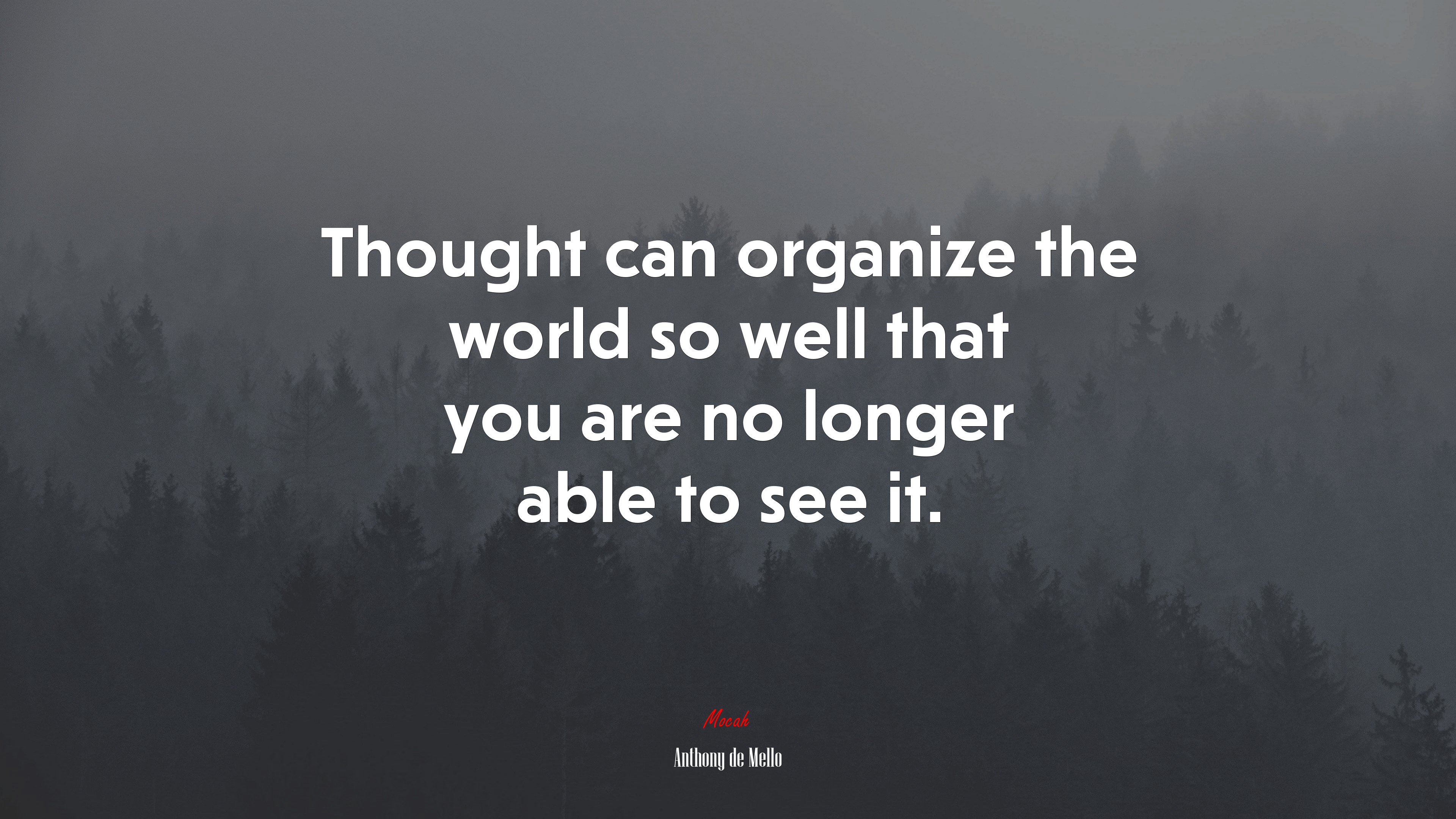 Thought can organize the world so well that you are no longer able to see it. | Anthony de Mello quote HD Wallpaper