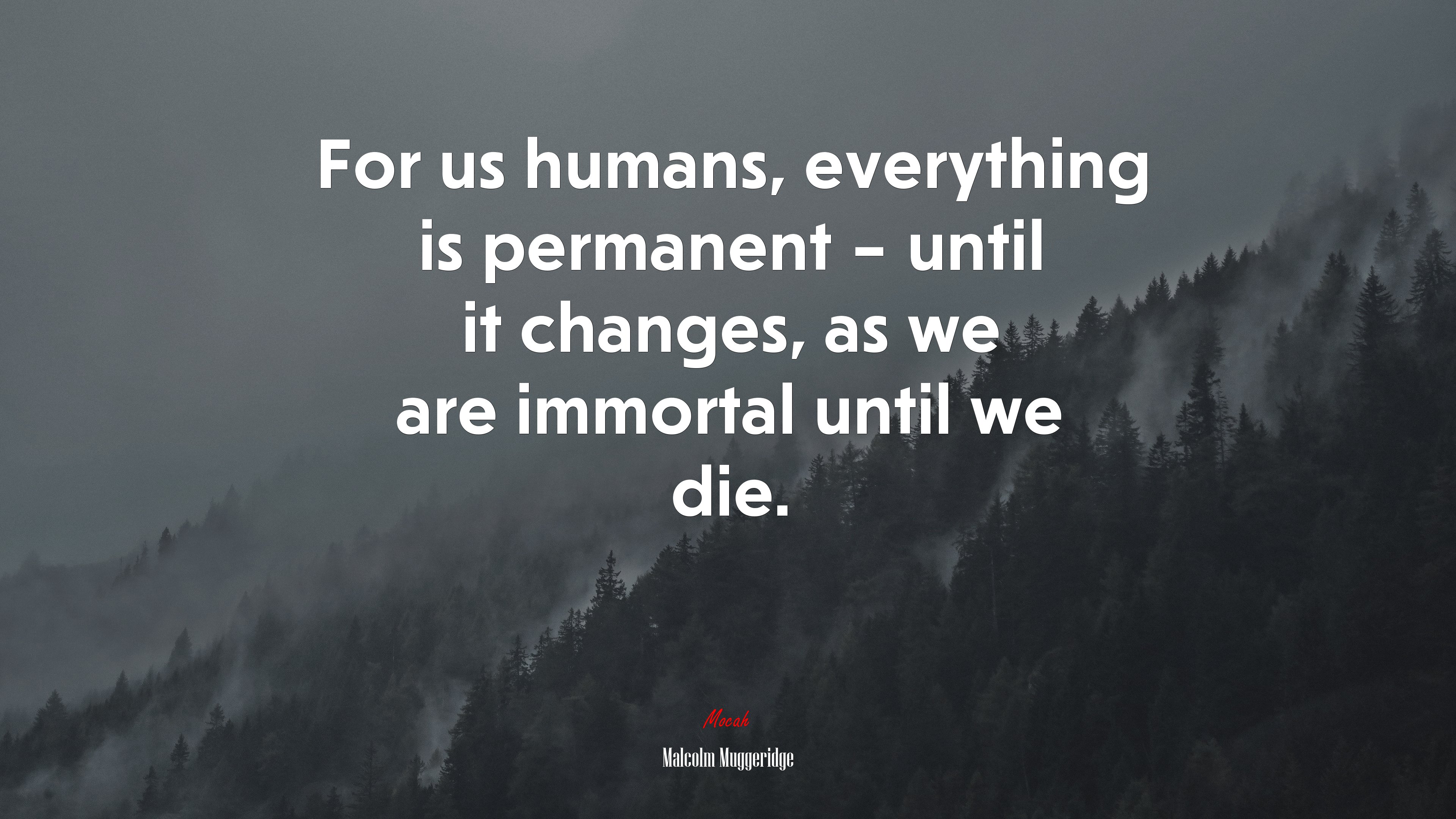 For us humans, everything is permanent – until it changes, as we are immortal until we die. | Malcolm Muggeridge quote HD Wallpaper