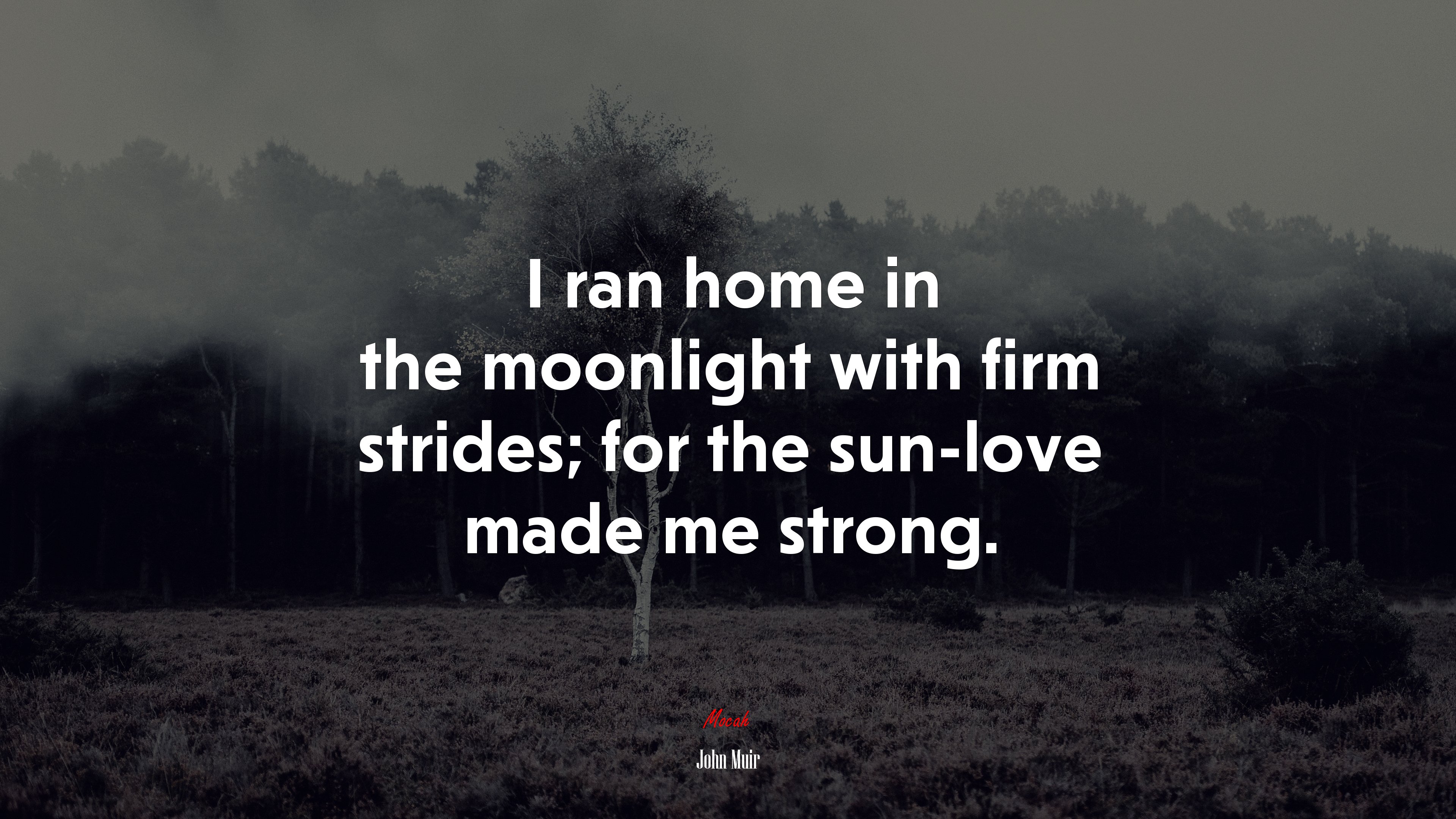 I ran home in the moonlight with firm strides; for the sun-love made me strong. | John Muir quote HD Wallpaper