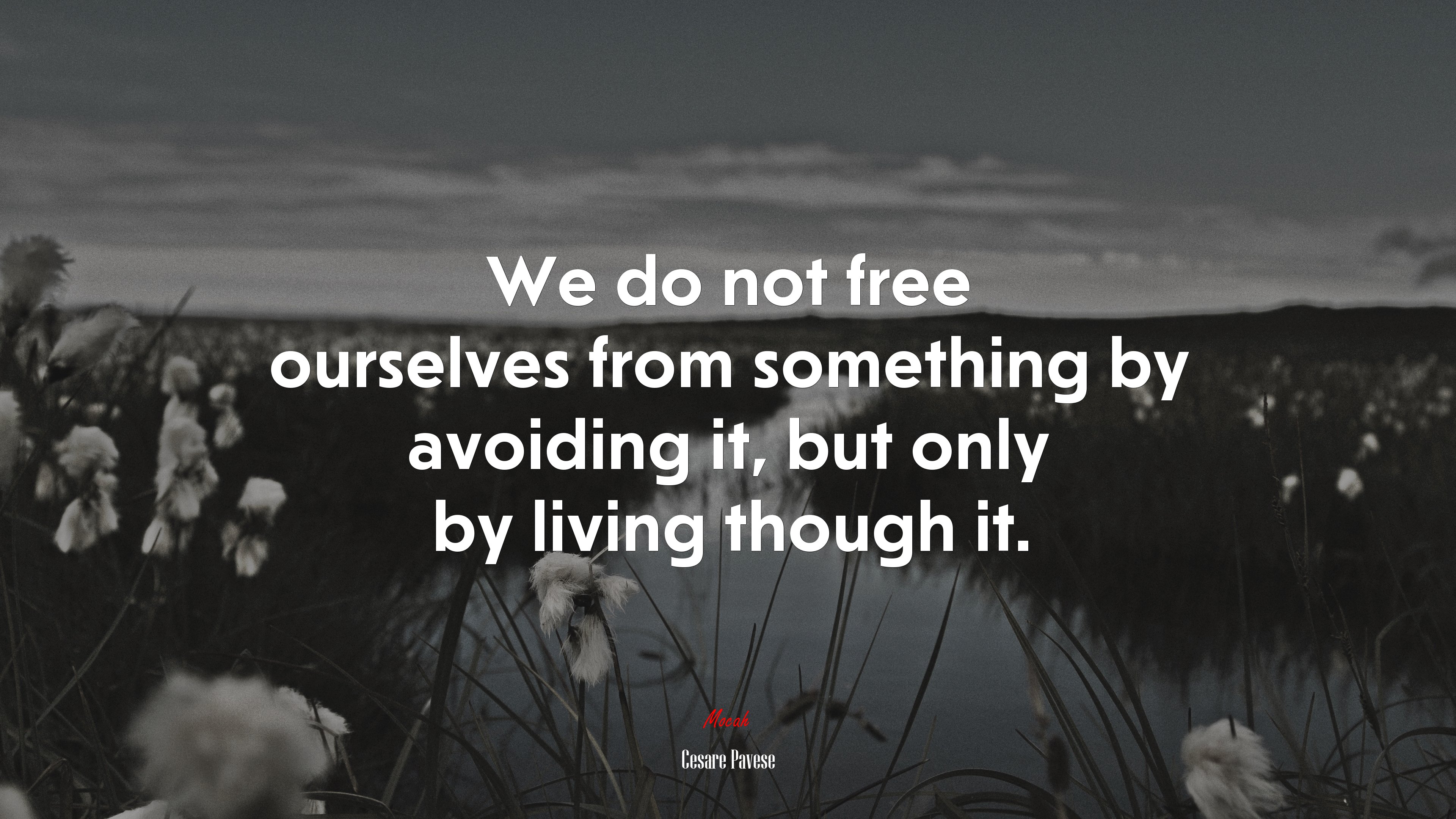 We do not free ourselves from something by avoiding it, but only by living though it. | Cesare Pavese quote HD Wallpaper