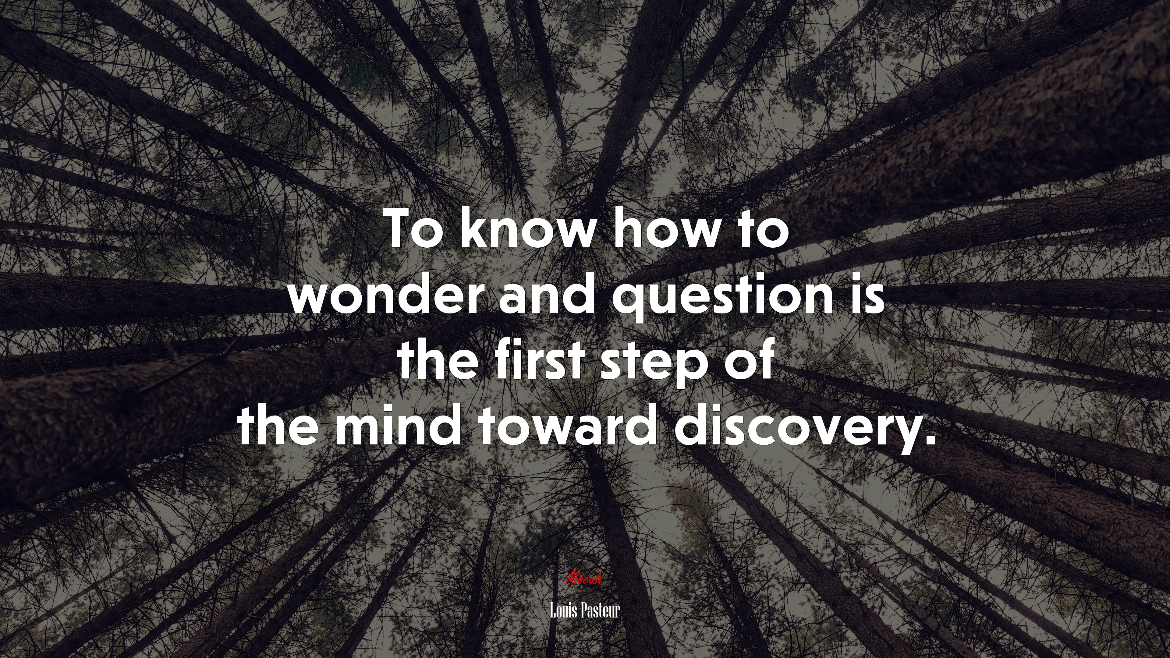 To know how to wonder and question is the first step of the mind toward discovery. | Louis Pasteur quote HD Wallpaper