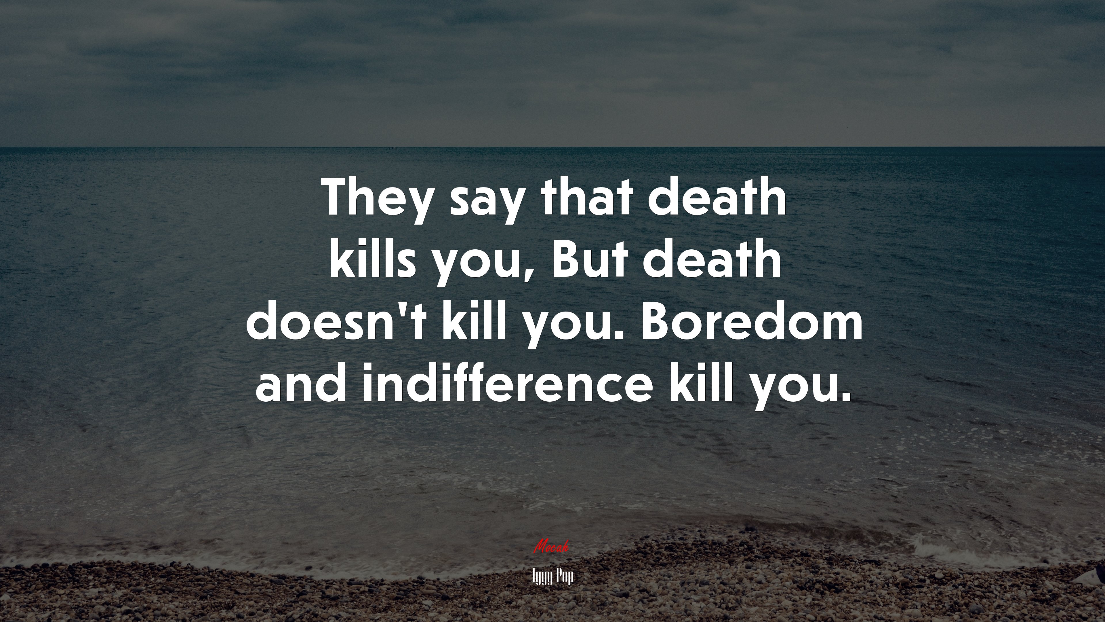 They say that death kills you, But death doesn’t kill you. Boredom and indifference kill you. | Iggy Pop quote HD Wallpaper