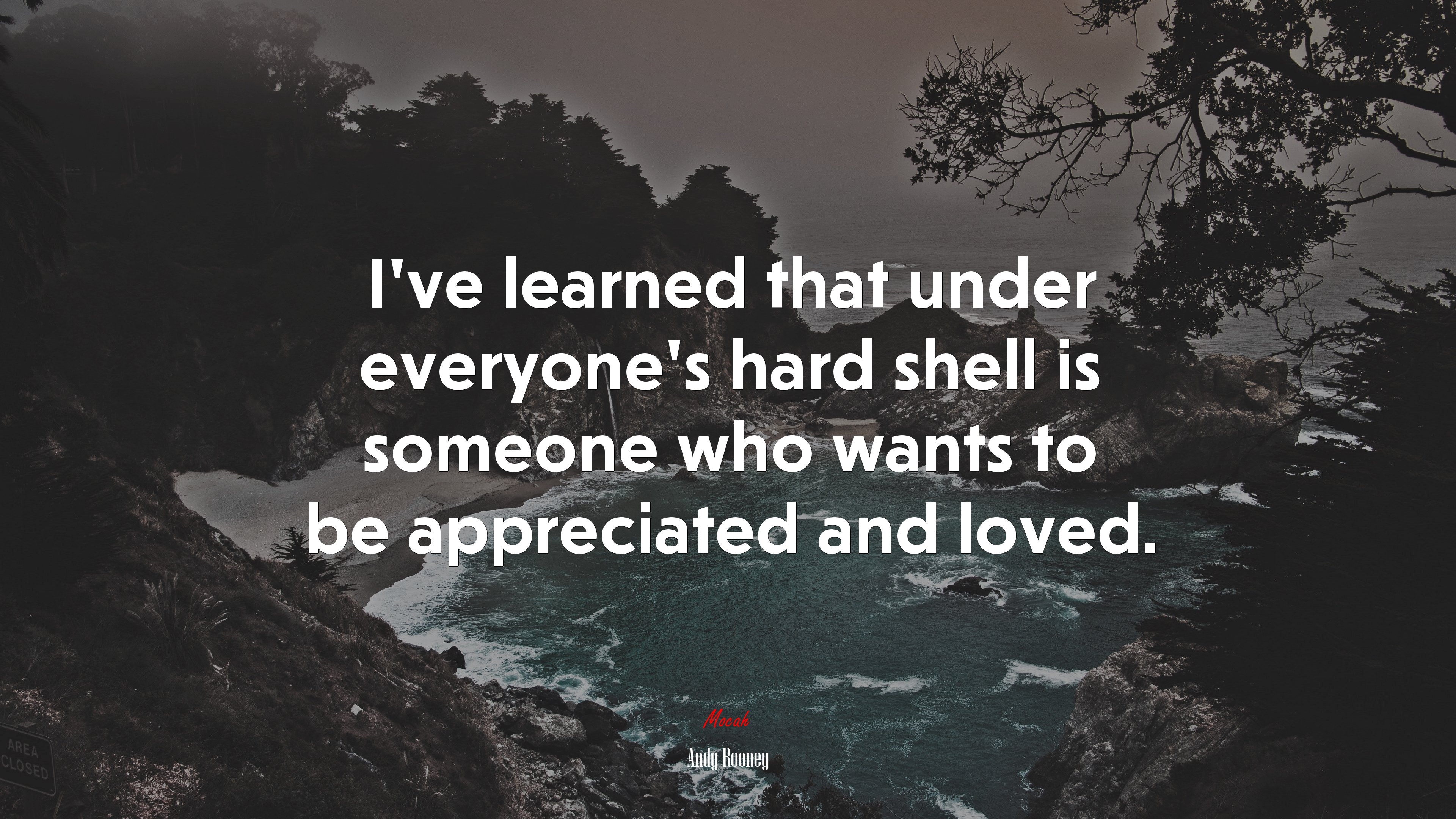 I’ve learned that under everyone’s hard shell is someone who wants to be appreciated and loved. | Andy Rooney quote HD Wallpaper