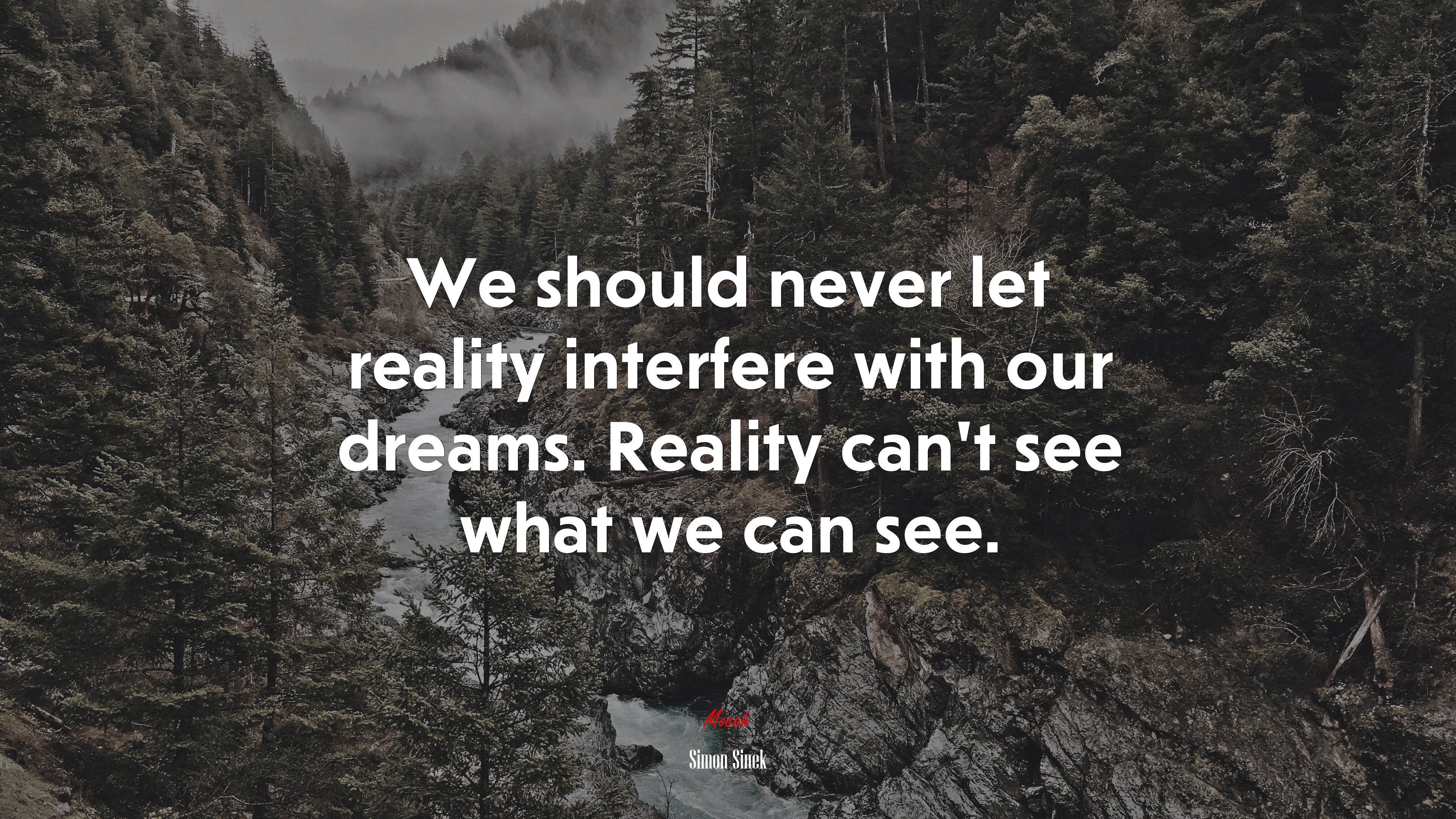 We should never let reality interfere with our dreams. Reality can’t see what we can see. | Simon Sinek quote HD Wallpaper