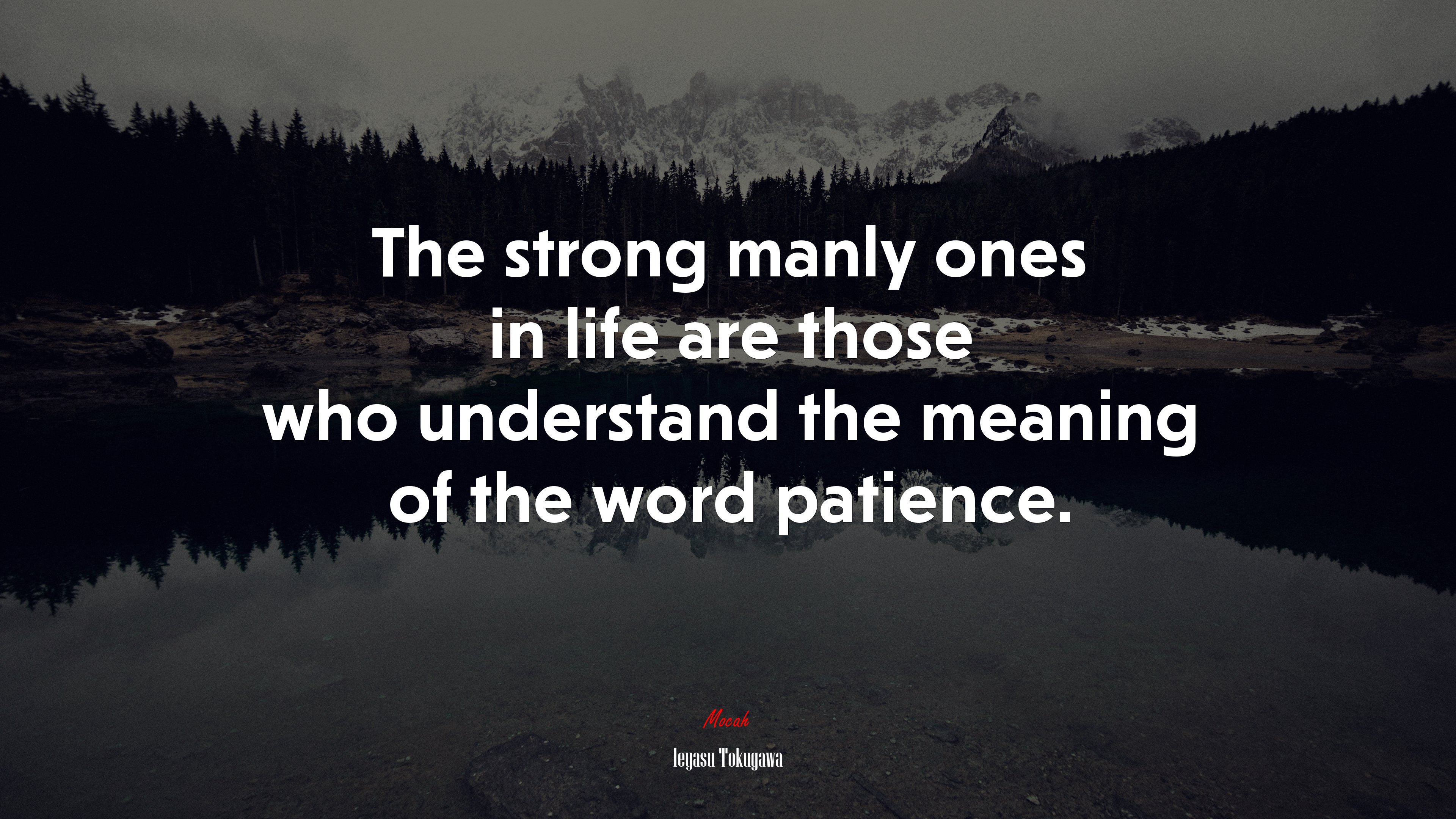 The strong manly ones in life are those who understand the meaning of the word patience. | Ieyasu Tokugawa quote HD Wallpaper