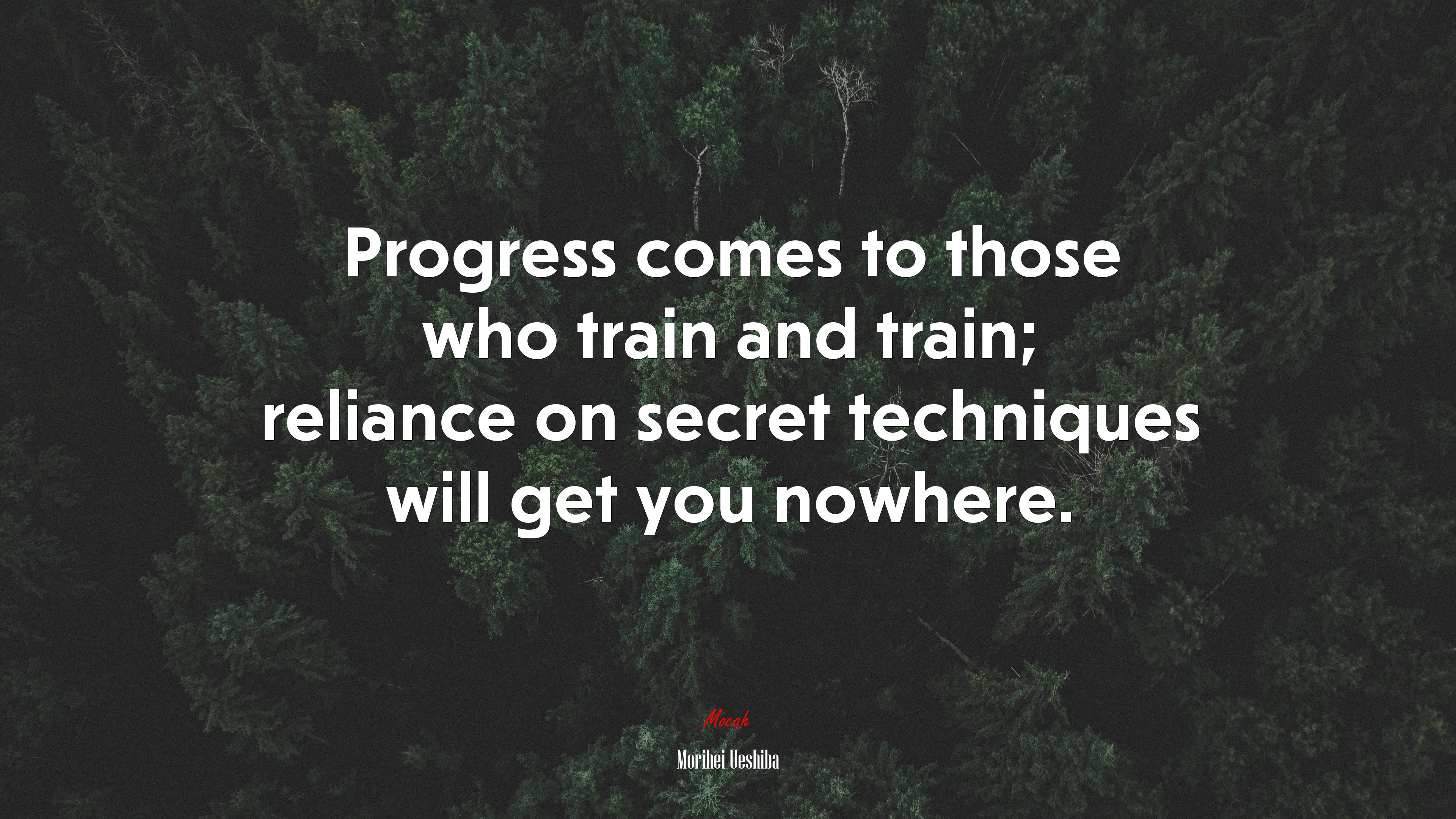 Progress comes to those who train and train; reliance on secret techniques will get you nowhere. | Morihei Ueshiba quote HD Wallpaper