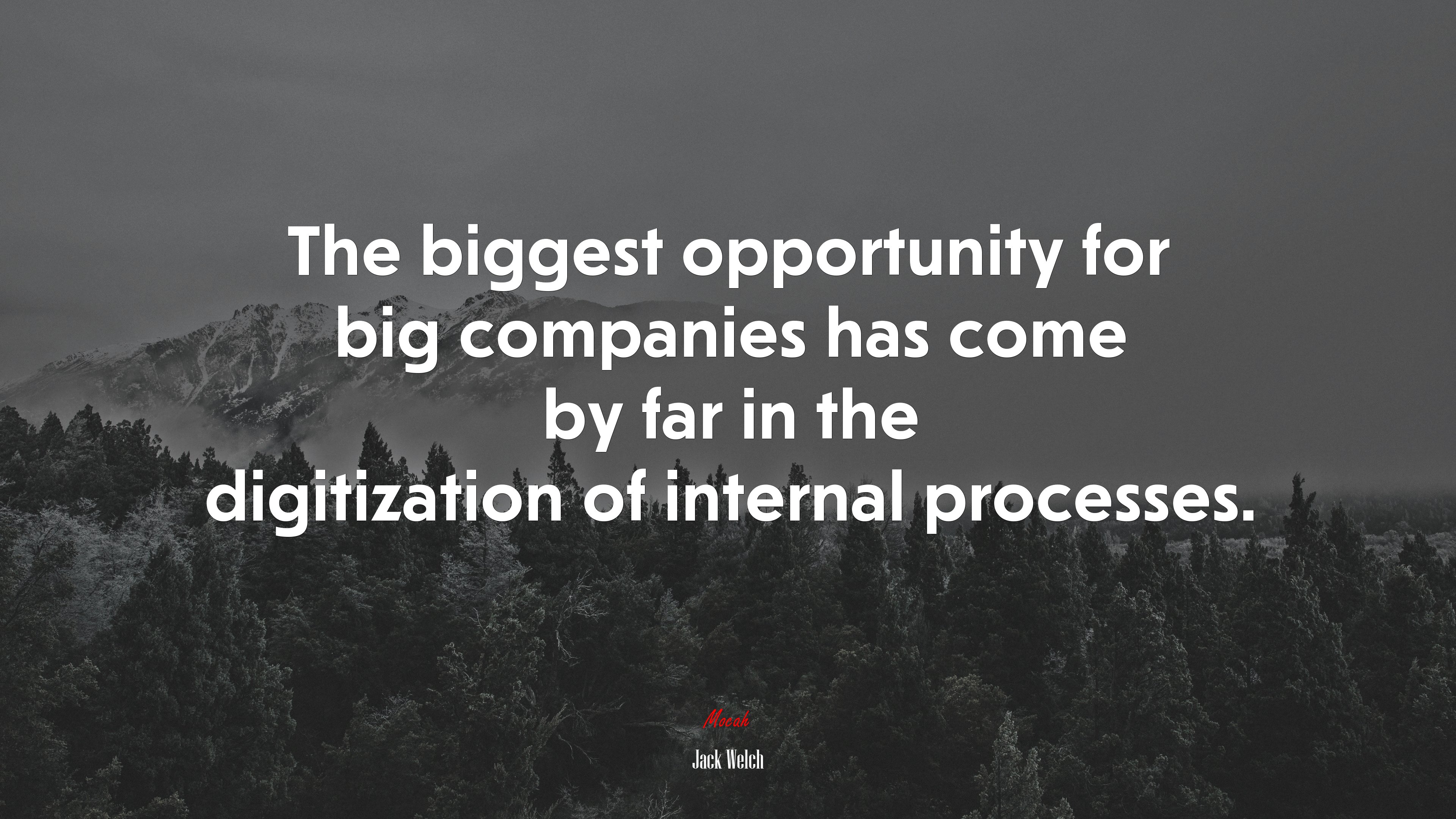 The biggest opportunity for big companies has come by far in the digitization of internal processes. | Jack Welch quote HD Wallpaper