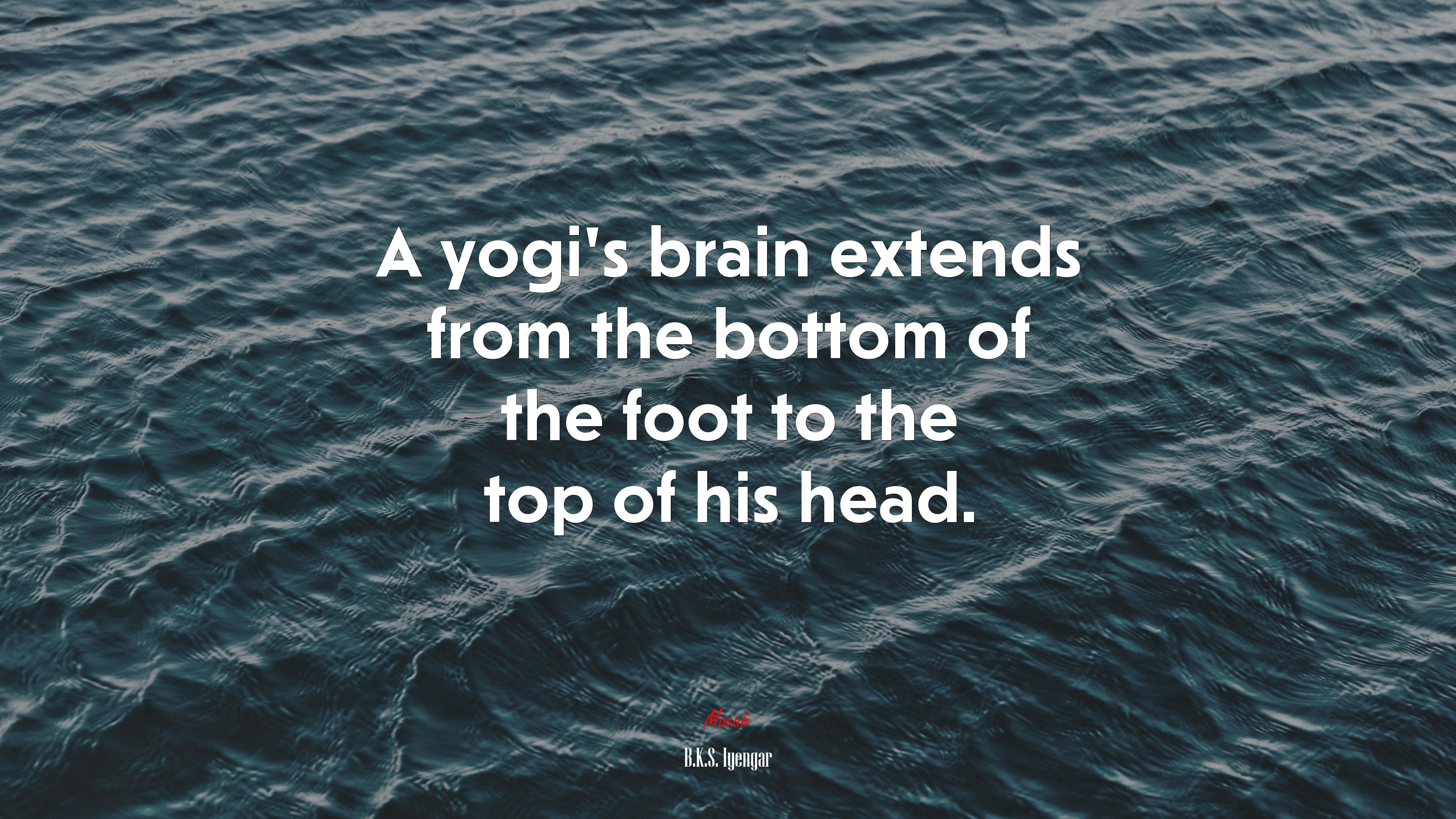 A yogi’s brain extends from the bottom of the foot to the top of his head. | B.K.S. Iyengar quote HD Wallpaper