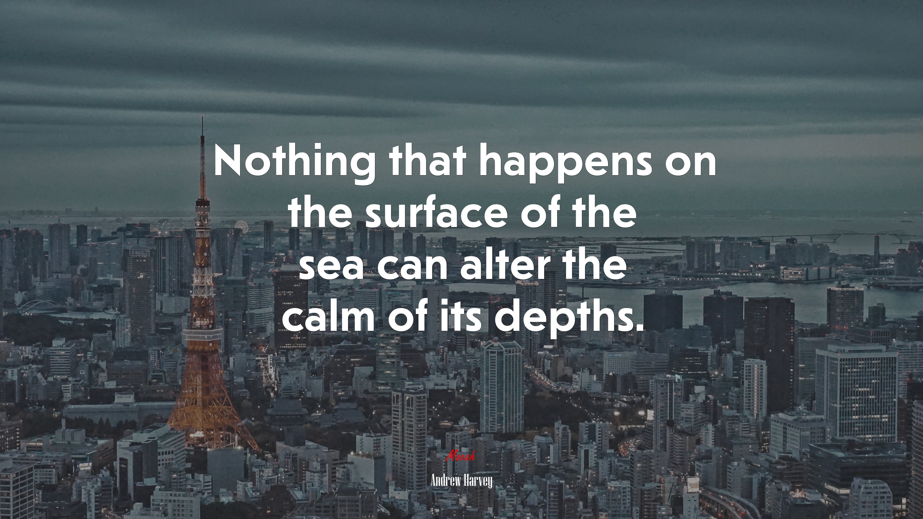 Nothing that happens on the surface of the sea can alter the calm of its depths. | Andrew Harvey quote HD Wallpaper